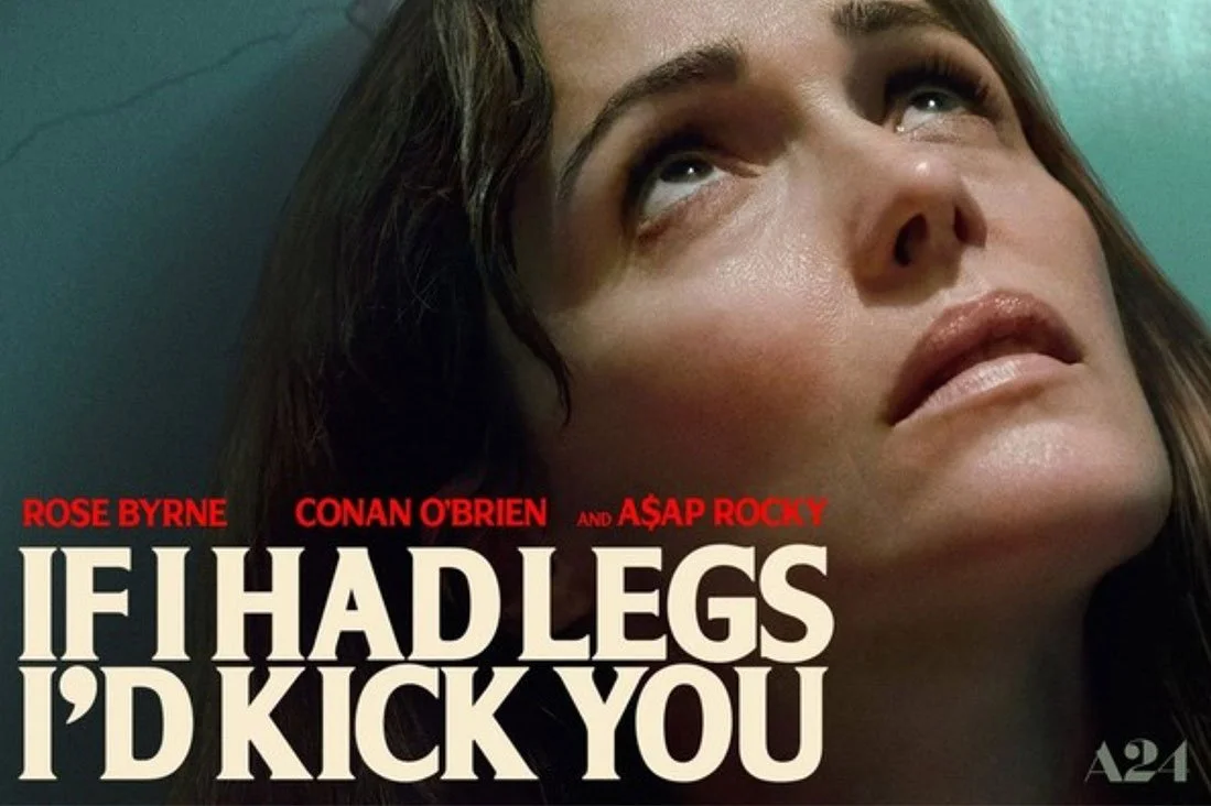 IF I HAD LEGS I'D KICK YOU