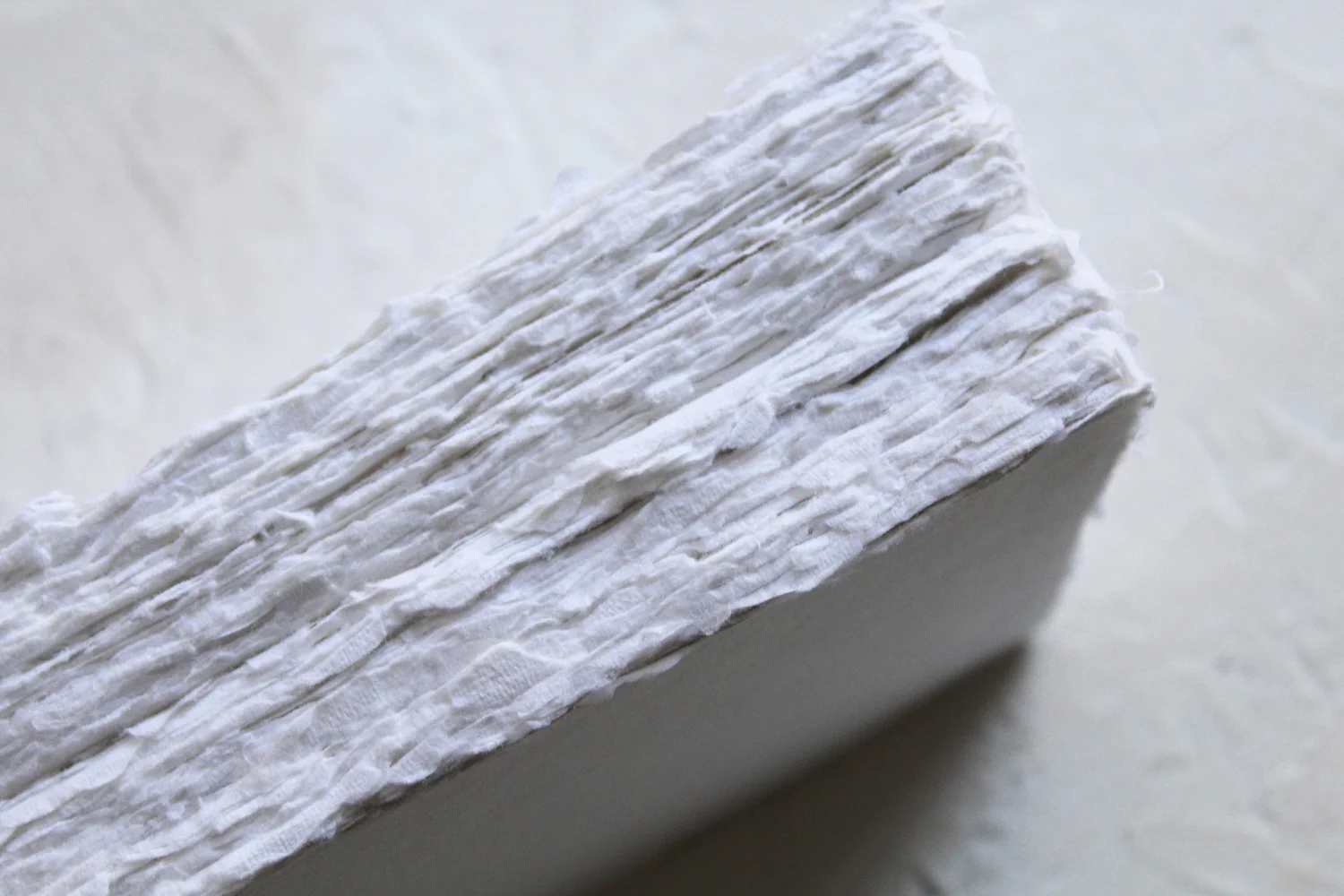 PAPER — FRINGE + ROSE