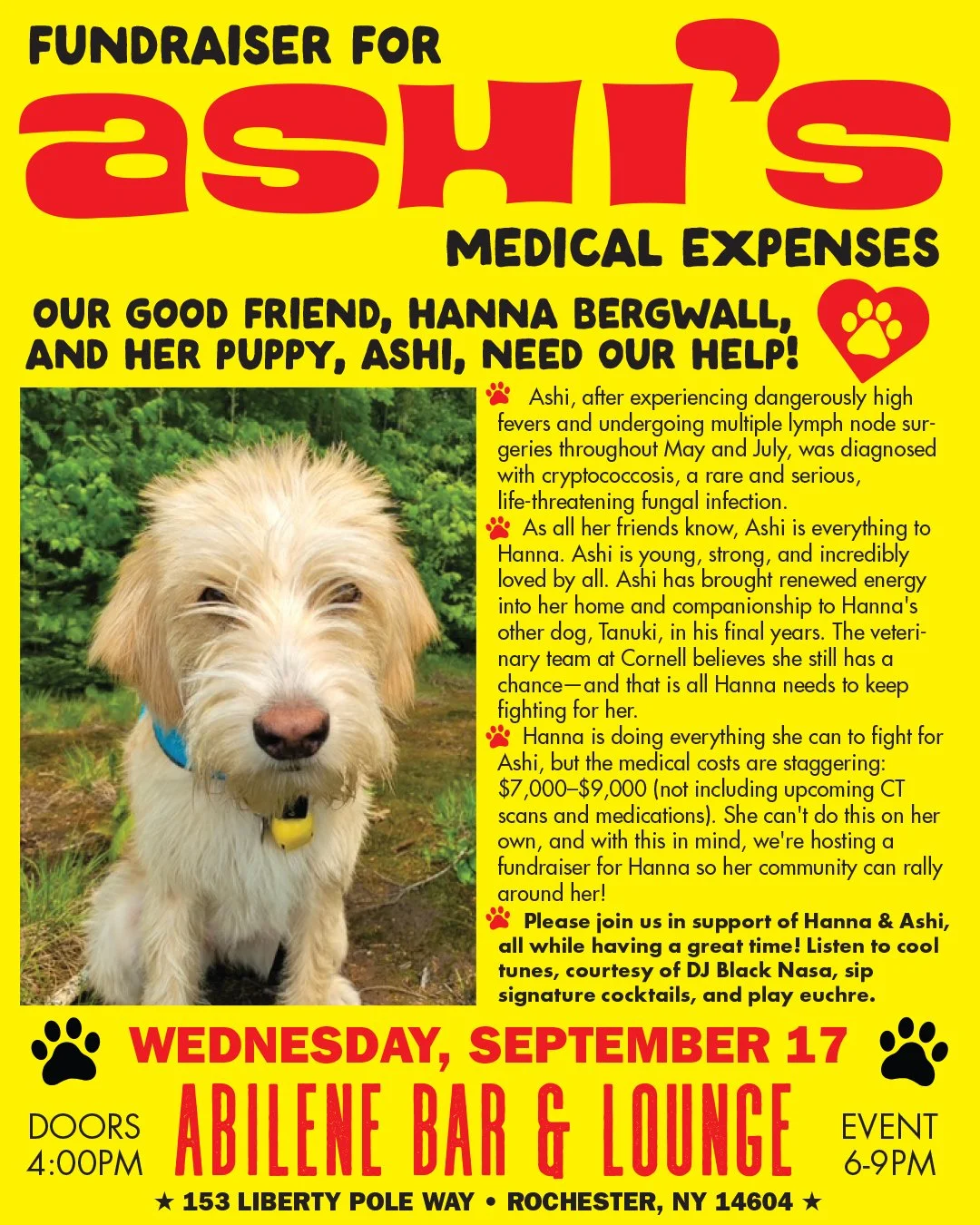 ASHI's Fundraiser!