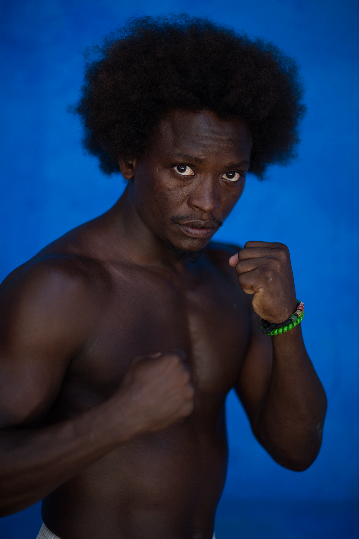Boxer_Fro_Portrait.png