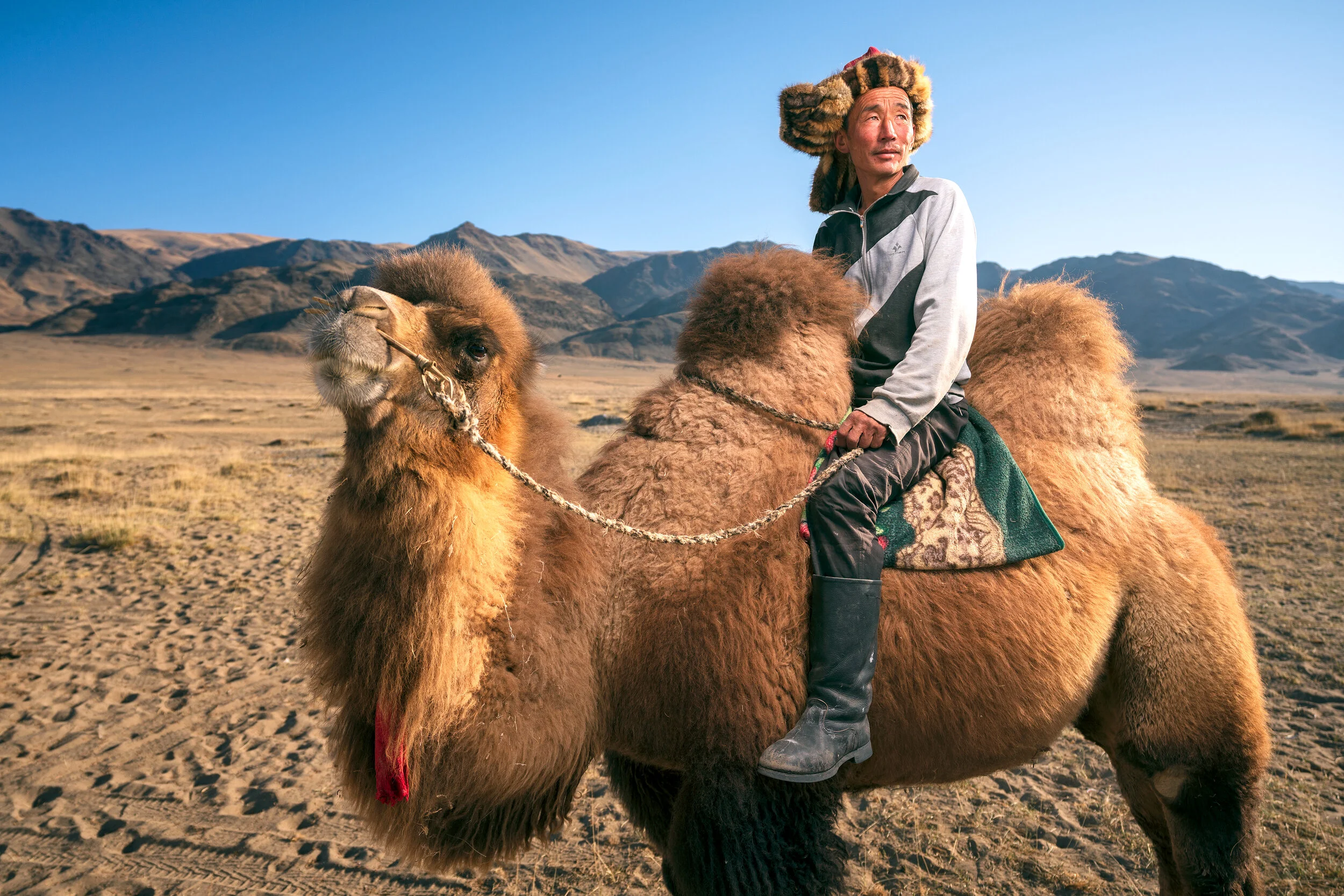 Rakimbeck_Camel_DSC9933-2.jpg