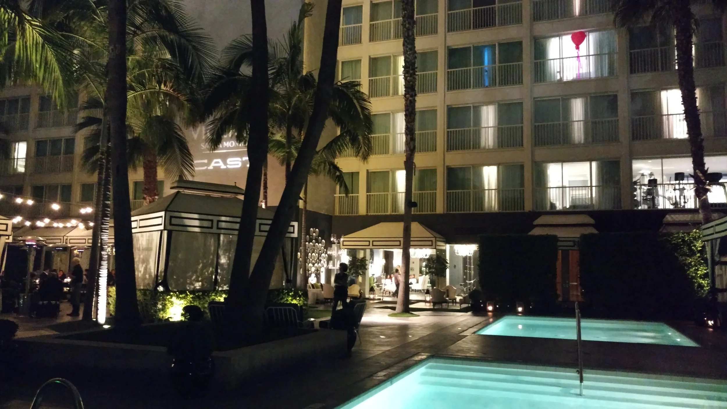 Party Time @ the ViceRoy!