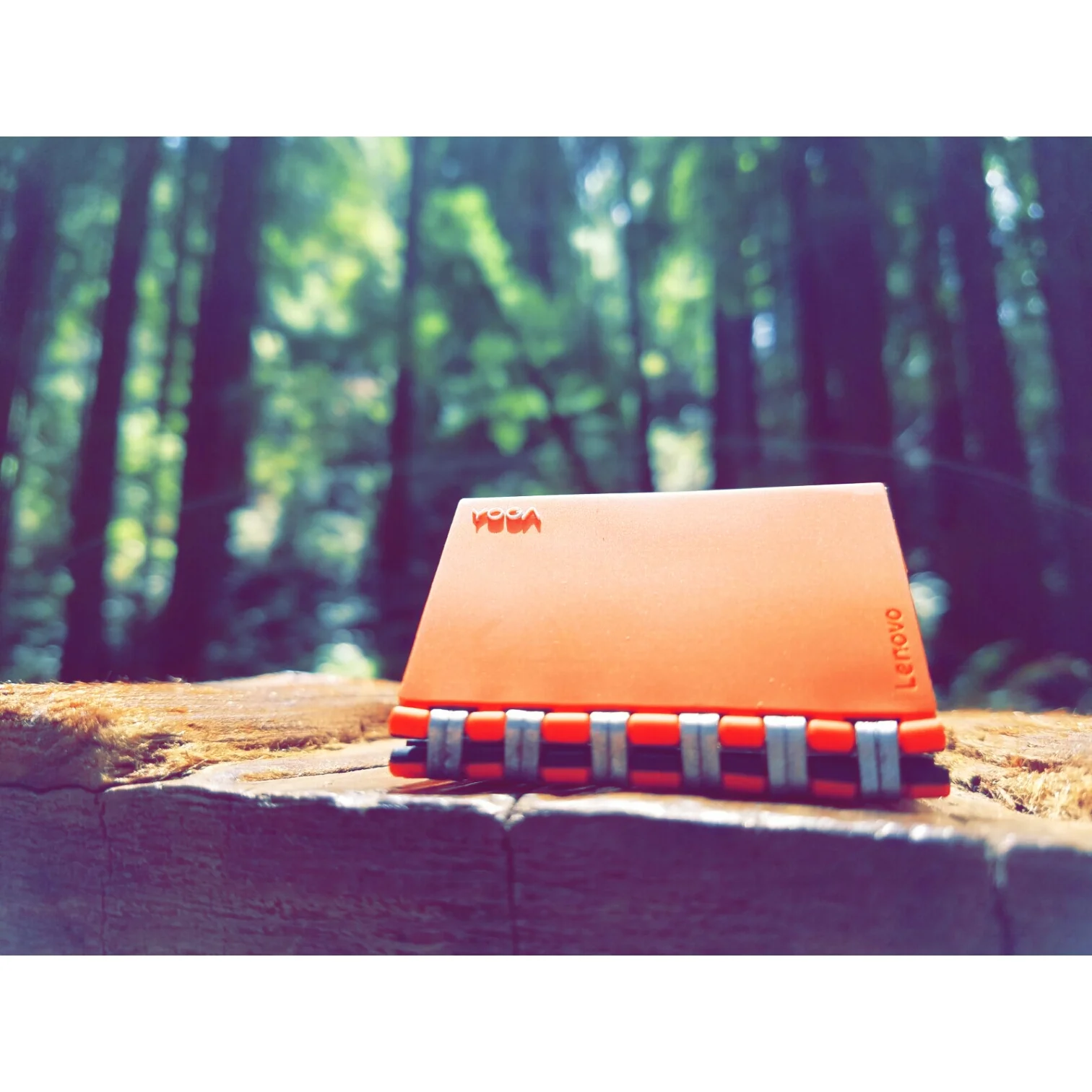 Instasize_0608164548.jpg