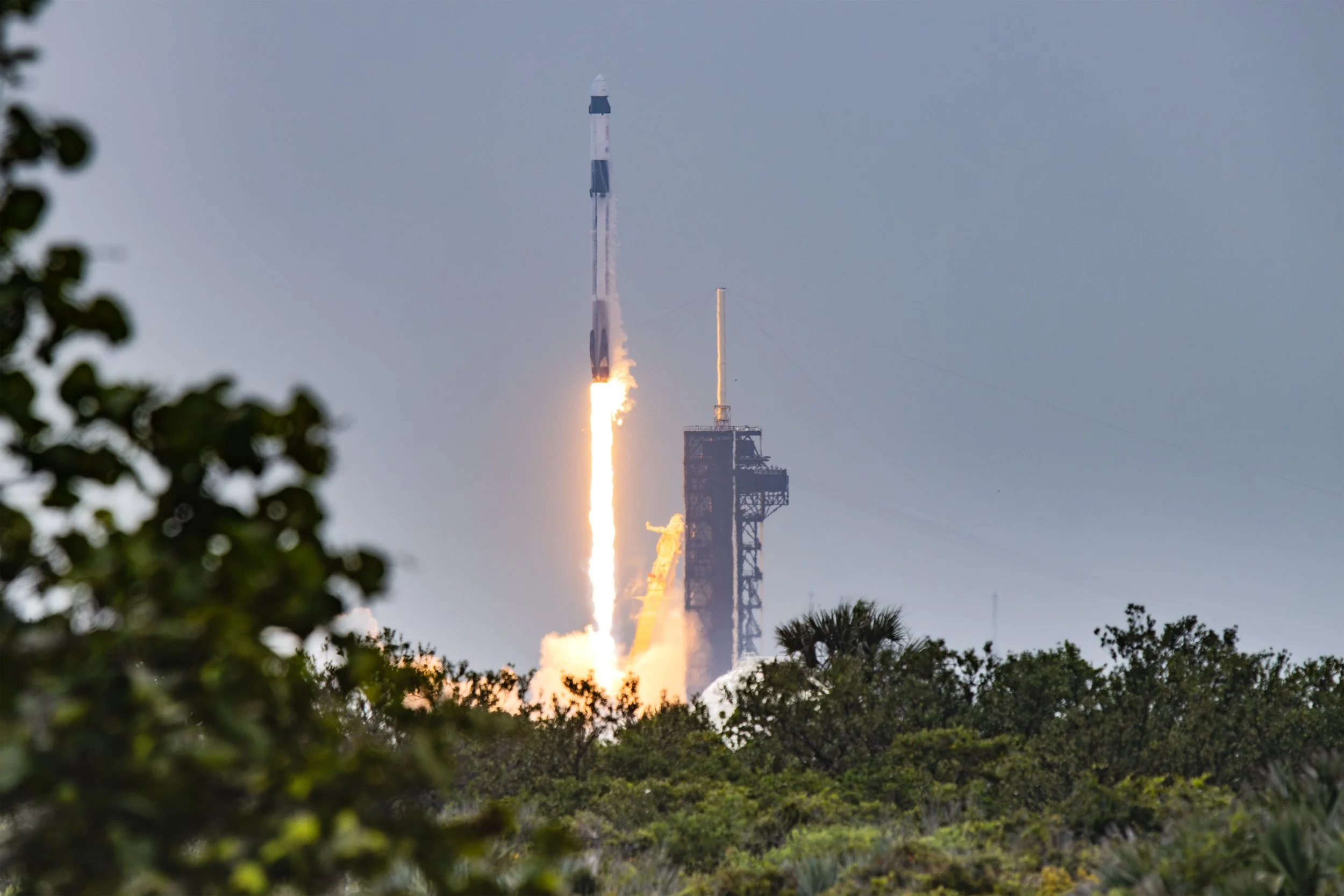 NASA Crew-10