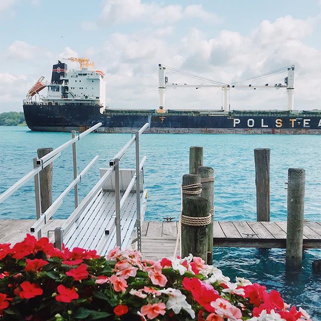 Saw 7 freighters in one sitting. .
.
.
.
#wheelchairlife #wheelchairgirl #wheelchairtravel #accessibletravel #travelblogger #puremichigan #lakehuron  #travellikeagirl #girlswhowander #femaletravelbloggers #instagood #wheeliesaroundtheworld