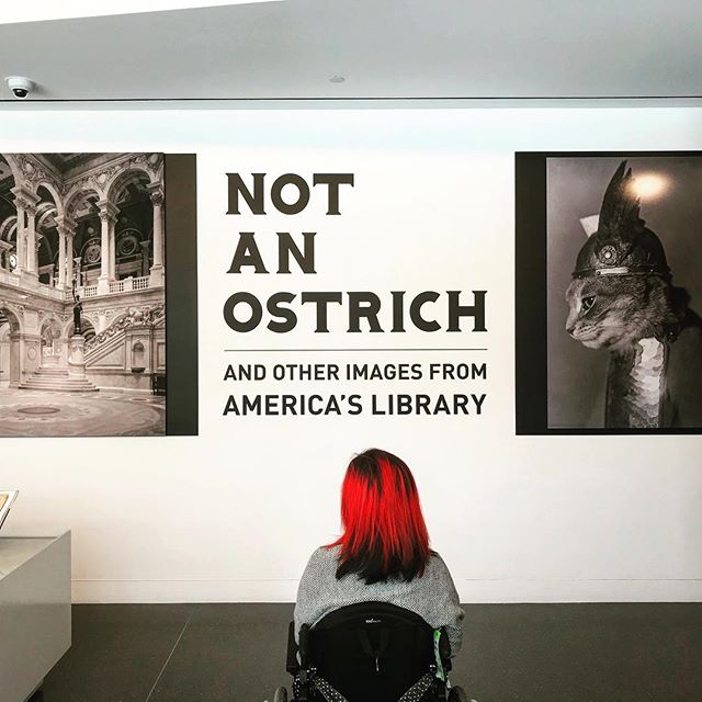 &ldquo;Not an Ostrich&ldquo; photography exhibit at Annenberg Space for Photography with selections from Library of Congress. @librarycongress @annenbergspace