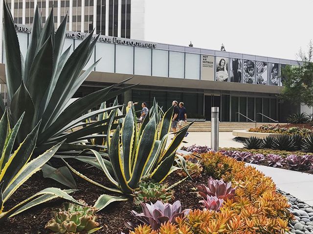 &ldquo;Not an Ostrich&ldquo; photography exhibit at Annenberg Space for Photography with selections from Library of Congress. @librarycongress @annenbergspace .
.
.
#libraryofcongress #photooftheday #annenbergspace #NotanOstrich #wheelchairtravel