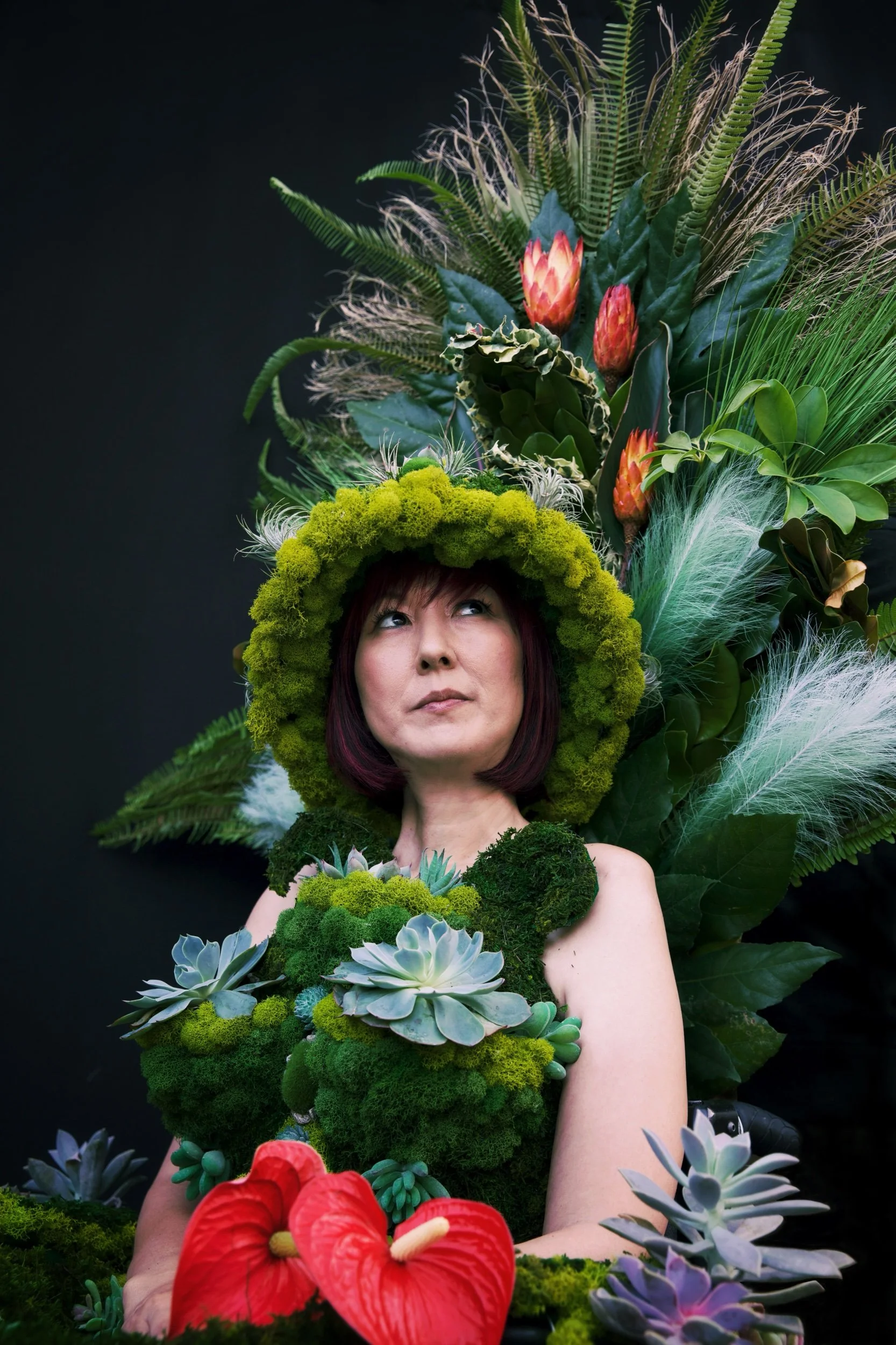 Verdant Embrace / Melissa Meier & Kam Redlawsk