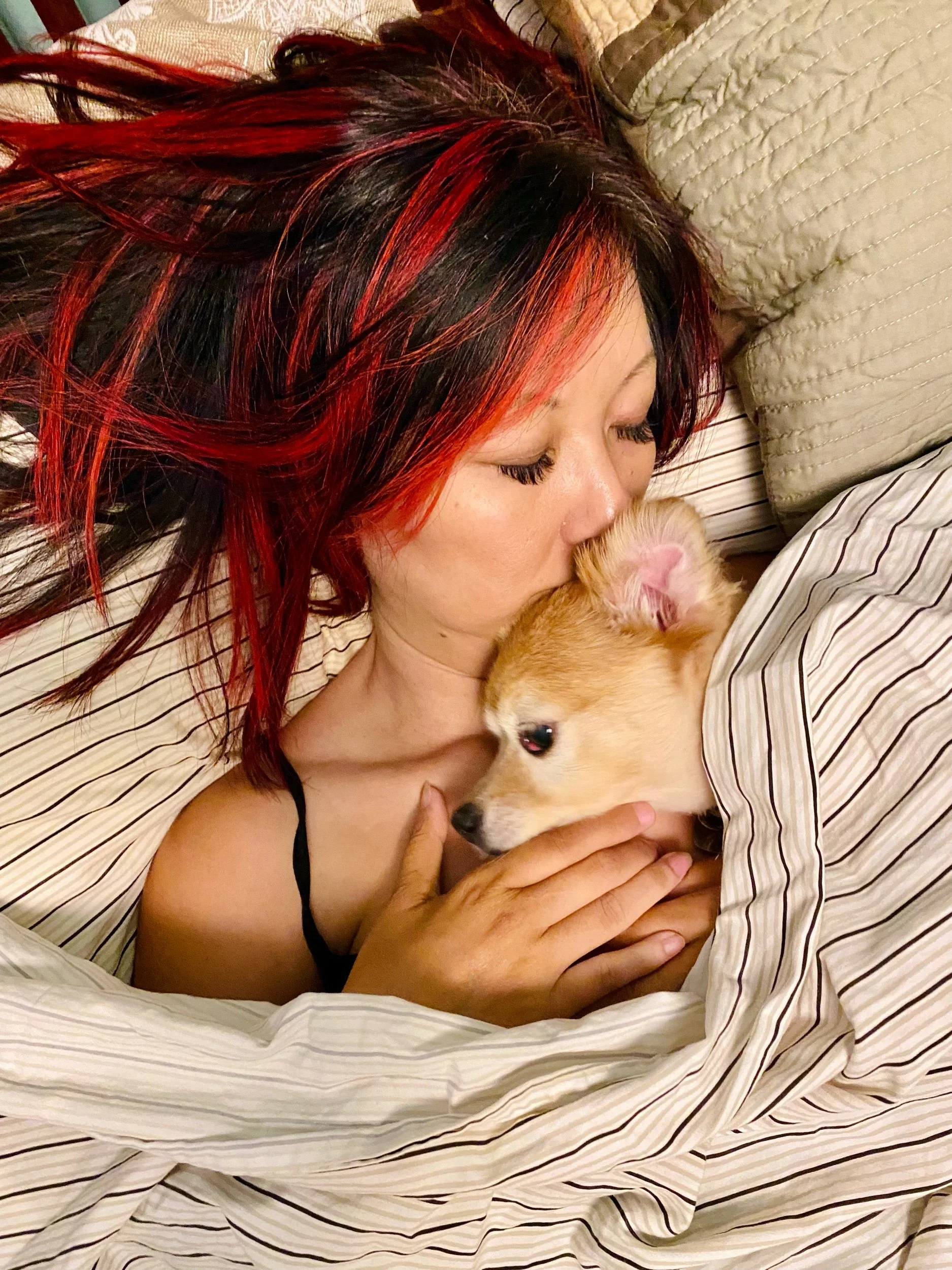 Our Pippi Love is Gone