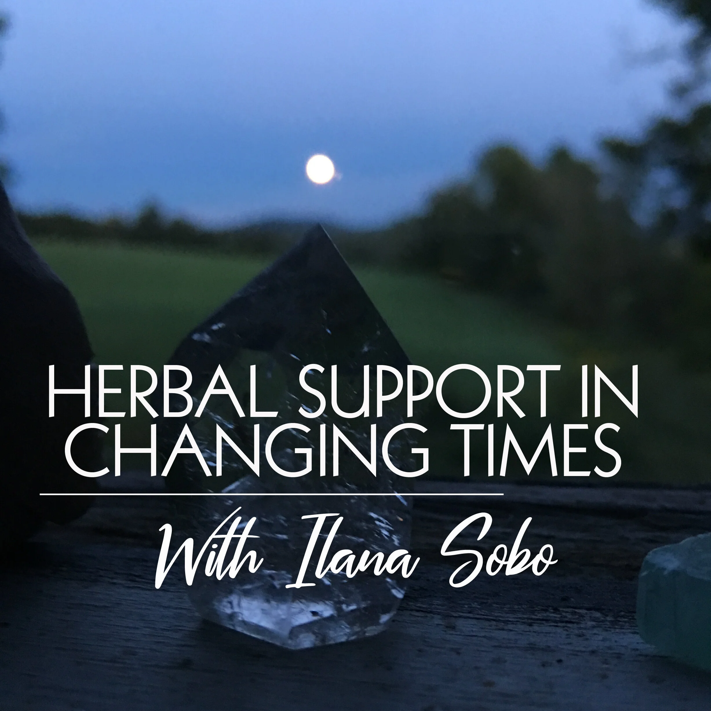 Healing Support in Changing Times with Ilana Sobo