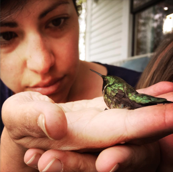 Hummingbirds bring joy.