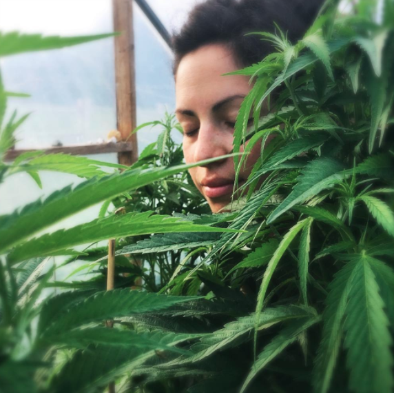 Healing initiations with cannabis.