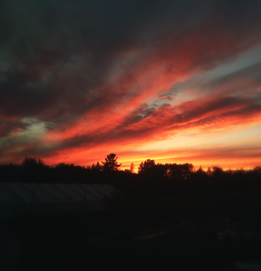 Abundance in the harvest.