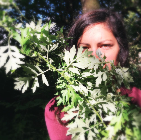 Mugwort musings.