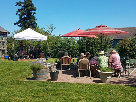 Red Barn Lavender Festival