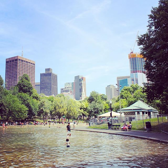 Boston Commons and the frog pond was a major highlight of my weekend here. I hope one day I'll get to go back 🐸 #bostoncommons #frongpond #greenspace