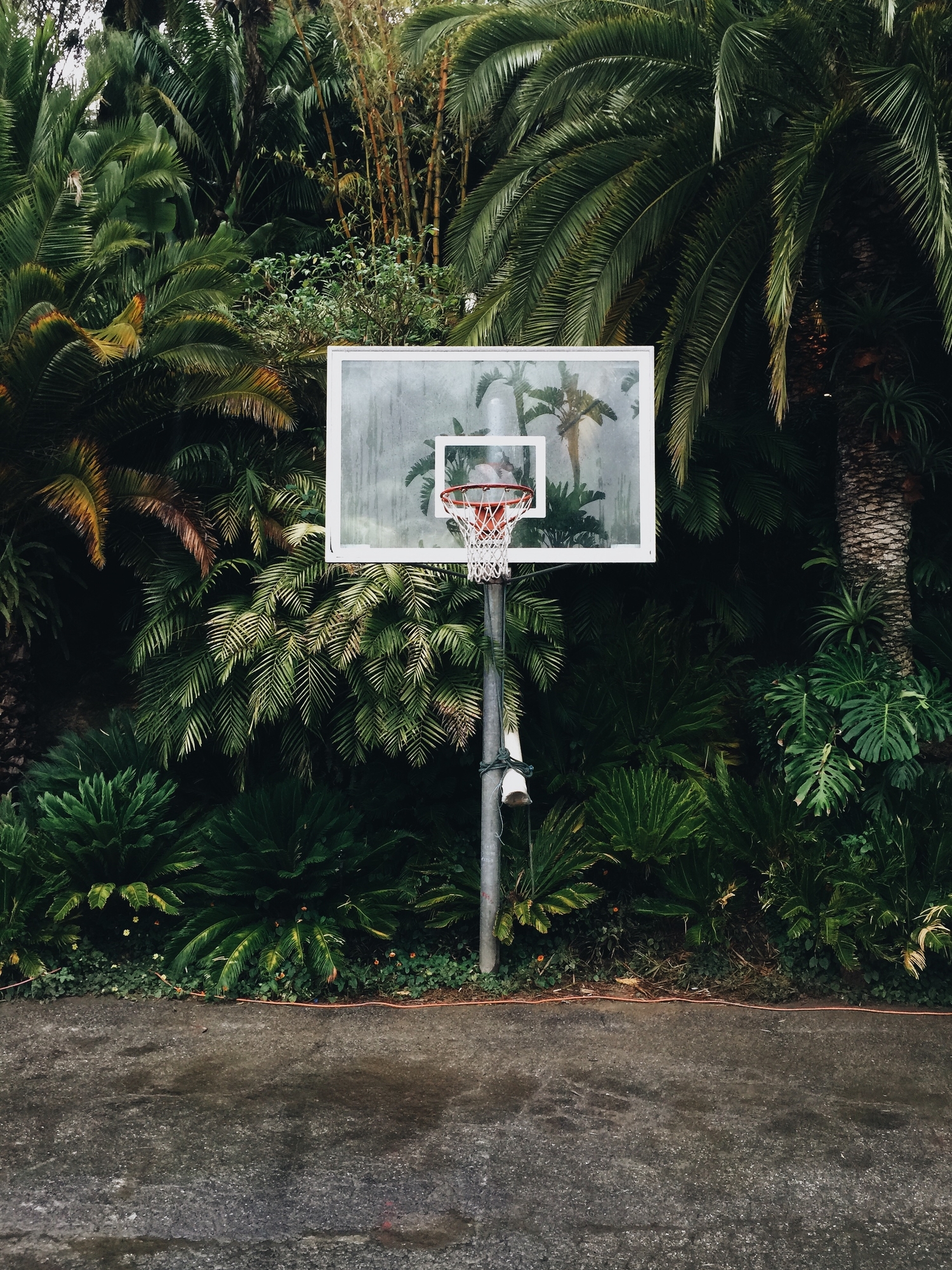 Basketball at Sheats Goldstein Residence