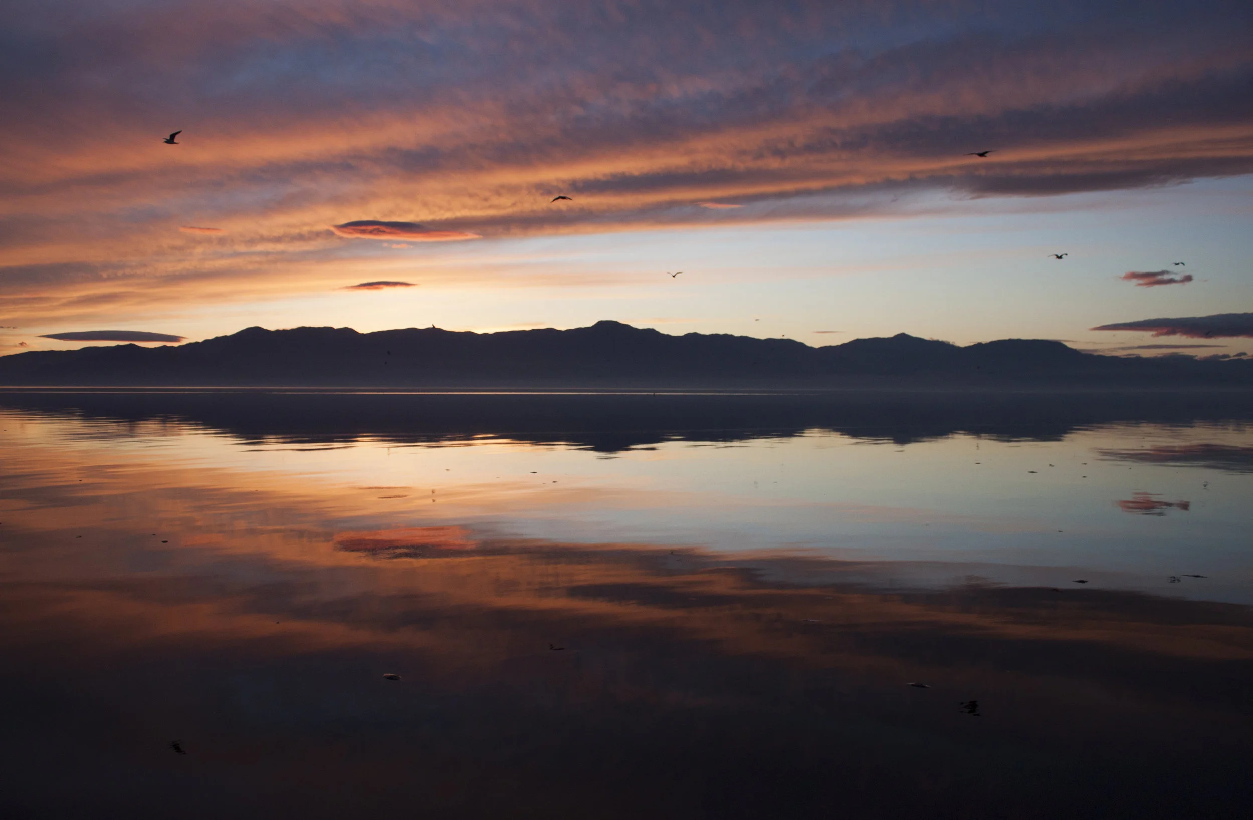 Salton Sea, Joshua Tree, Mecca, California