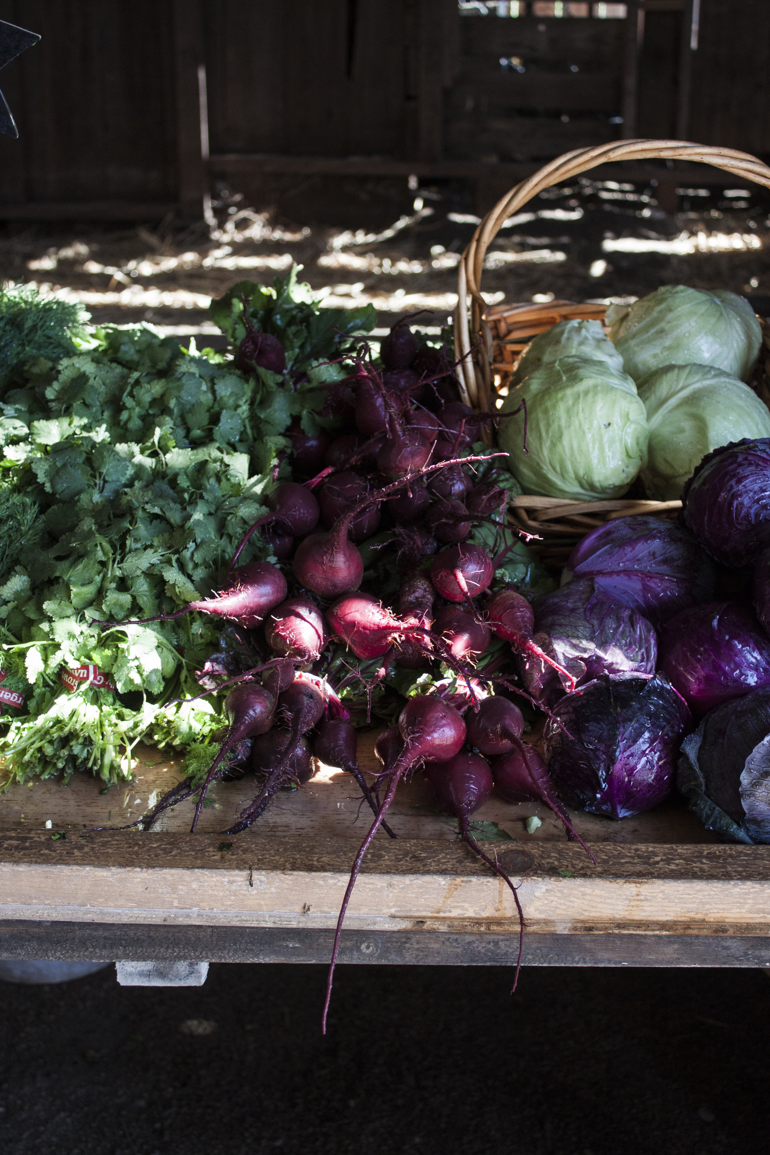 Folded Hills Farm, California Organic Farms, Los Alamos Travel Guide, California Road Trips, Figueroa Farms Olive Oil, Los Alamos, Gaviota, Gaviota California