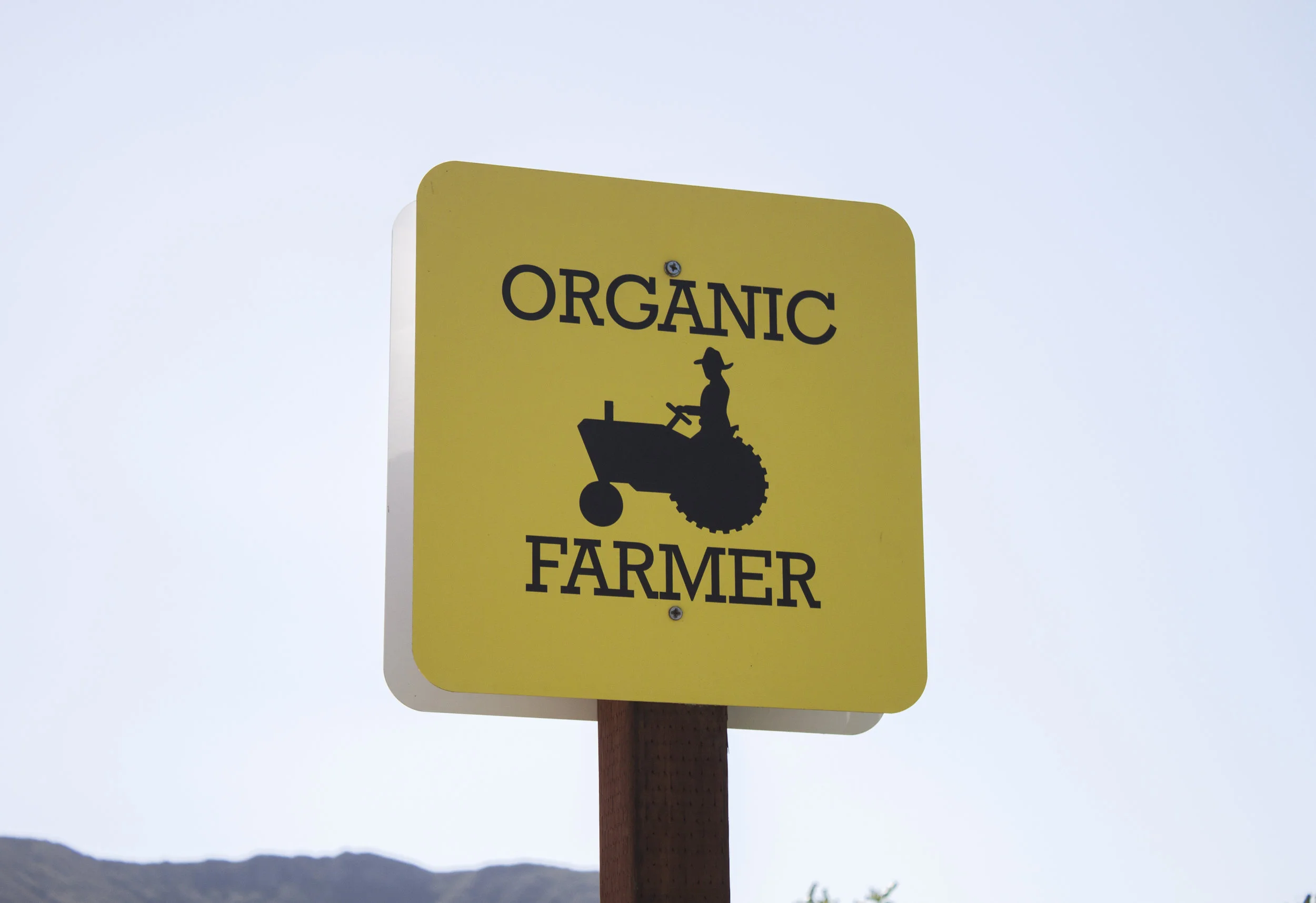 Folded Hills Farm, California Organic Farms, Los Alamos Travel Guide, California Road Trips, Figueroa Farms Olive Oil, Los Alamos, Gaviota, Gaviota California