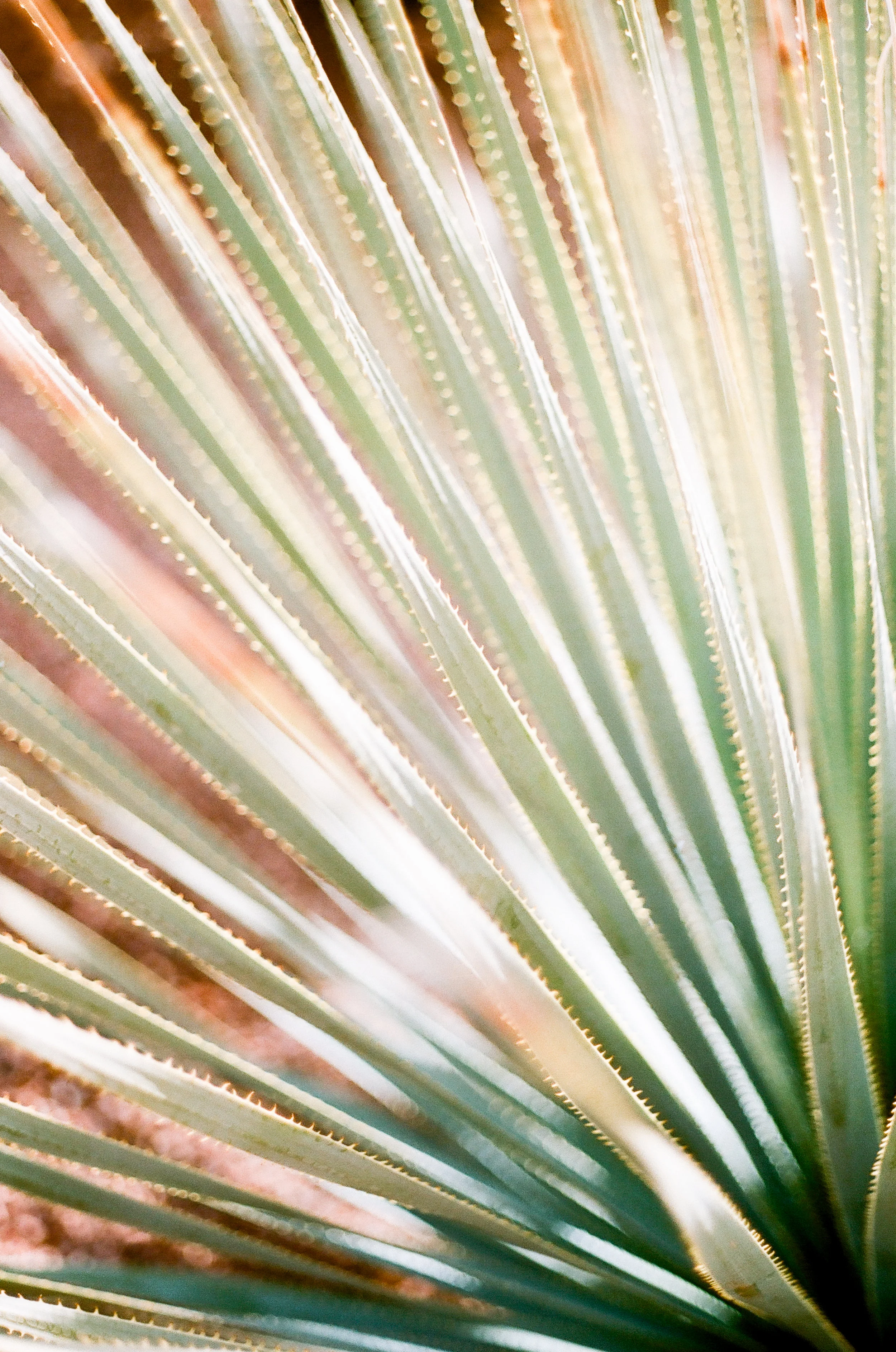 erinelizabethphoto-4.jpg