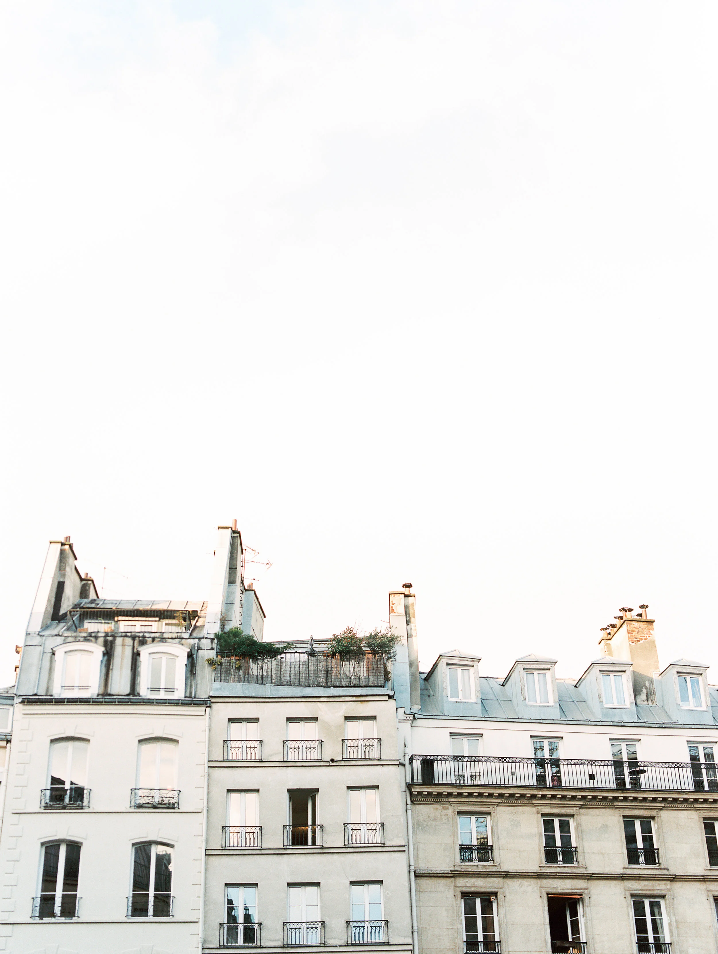 rooftops.jpg