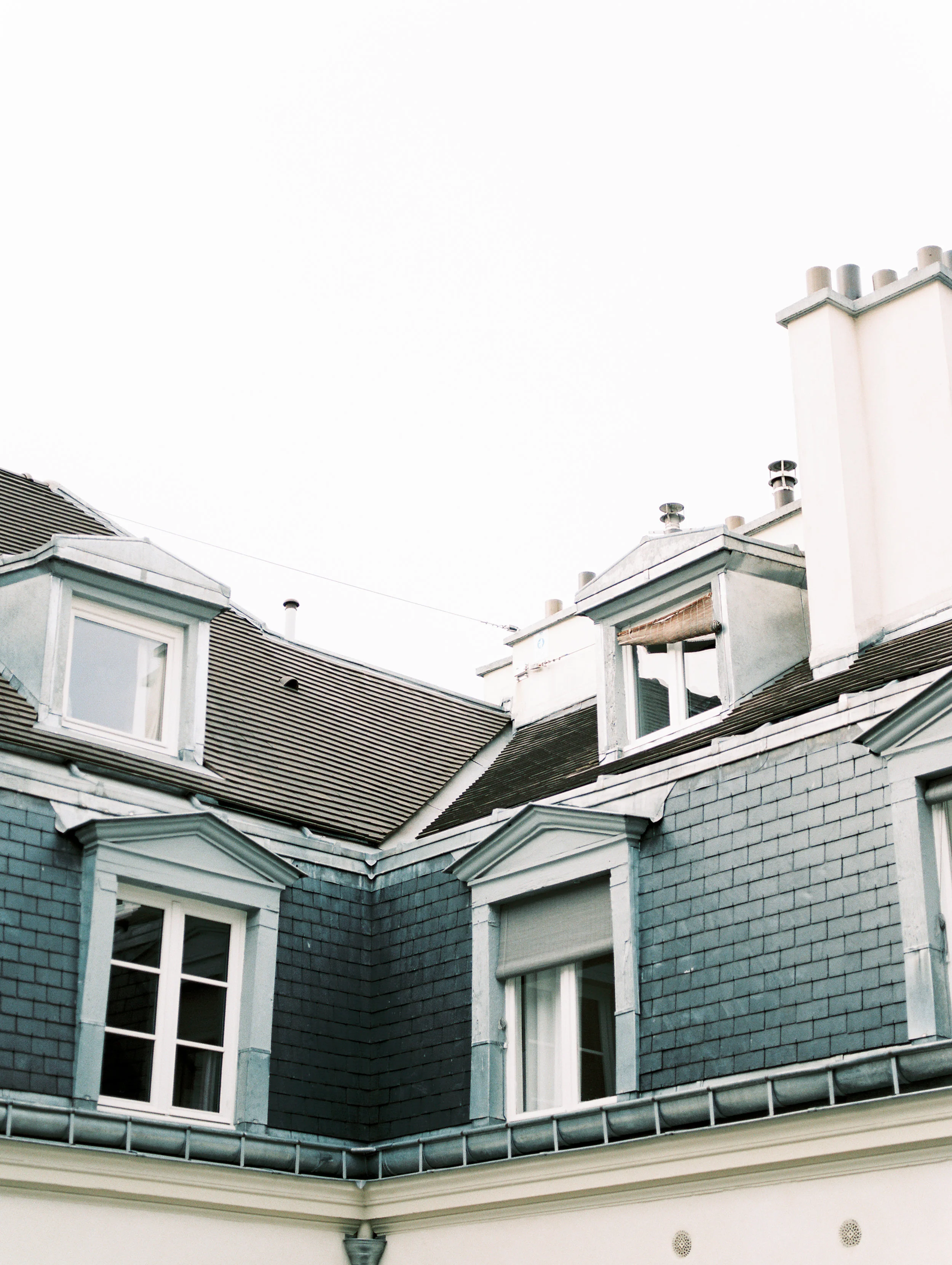 rooftops 3.jpg