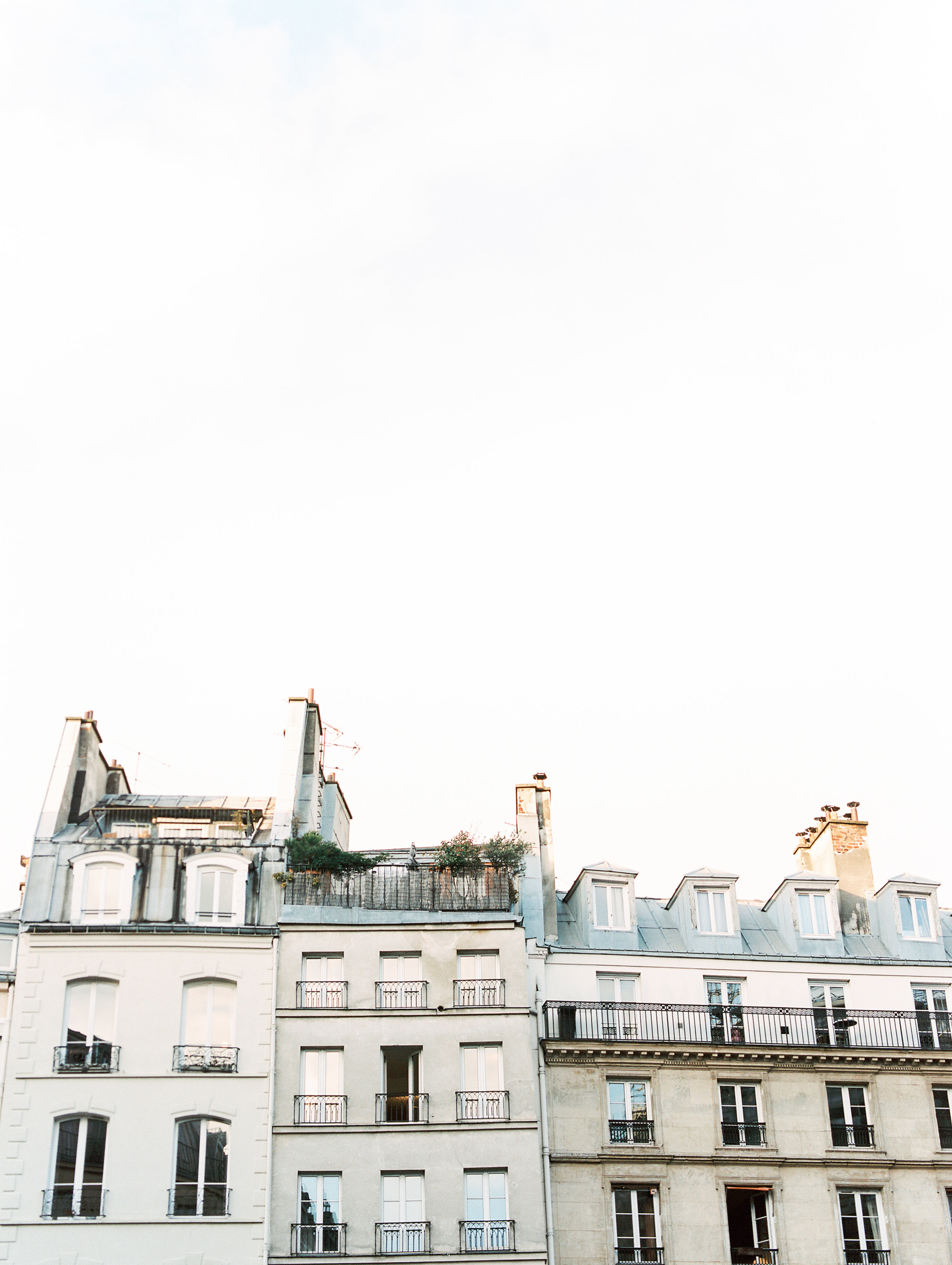 rooftops.jpg