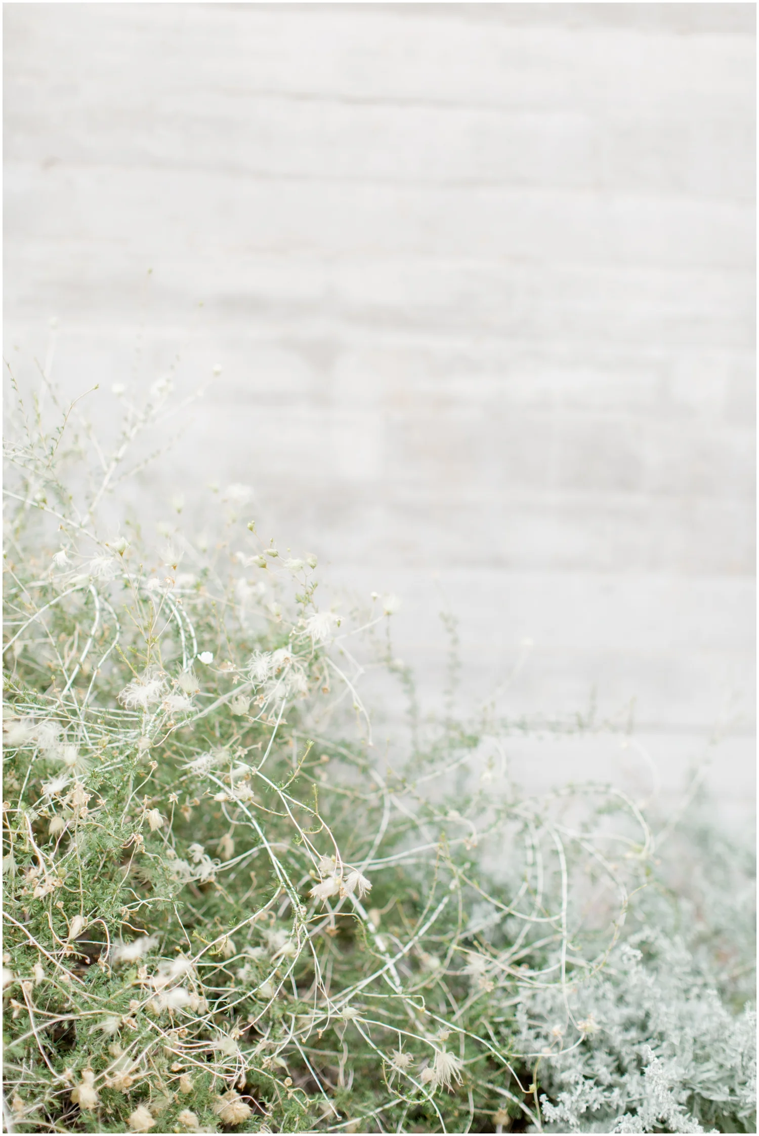 erinelizabethphoto-443.jpg