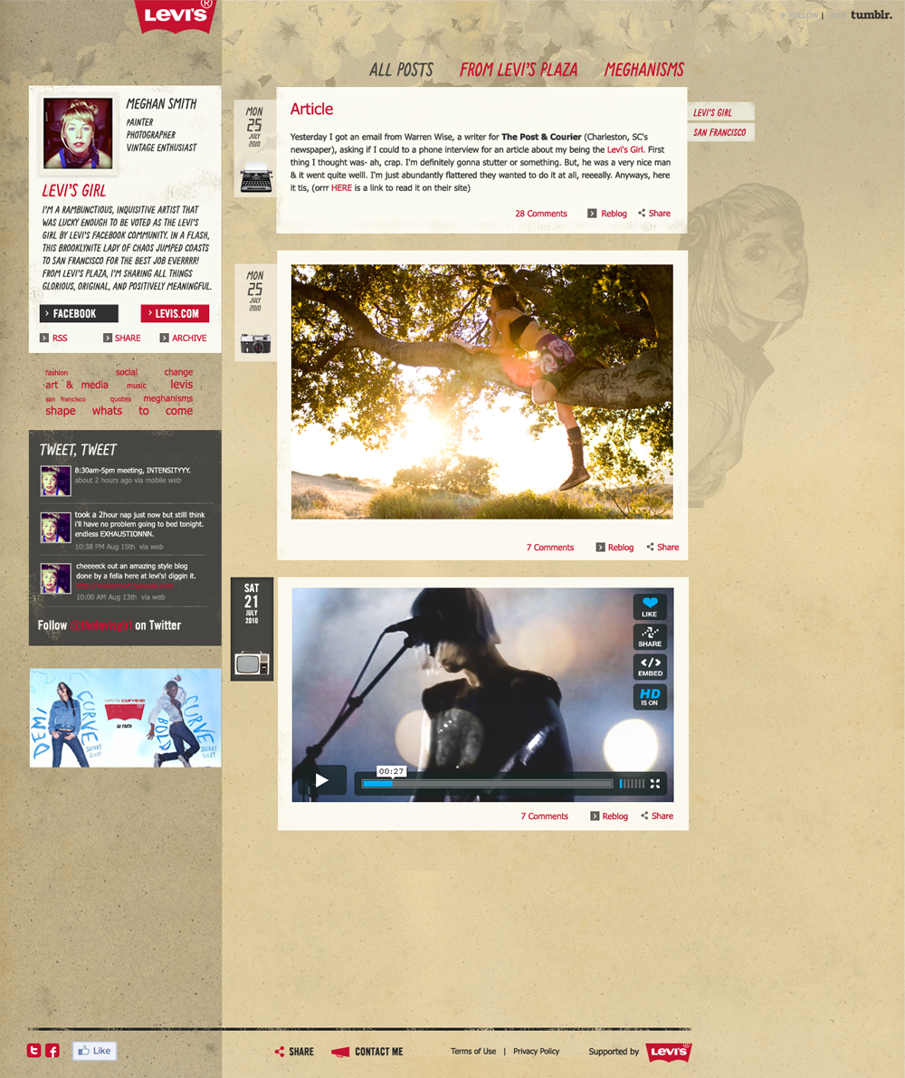 levis_blog.png