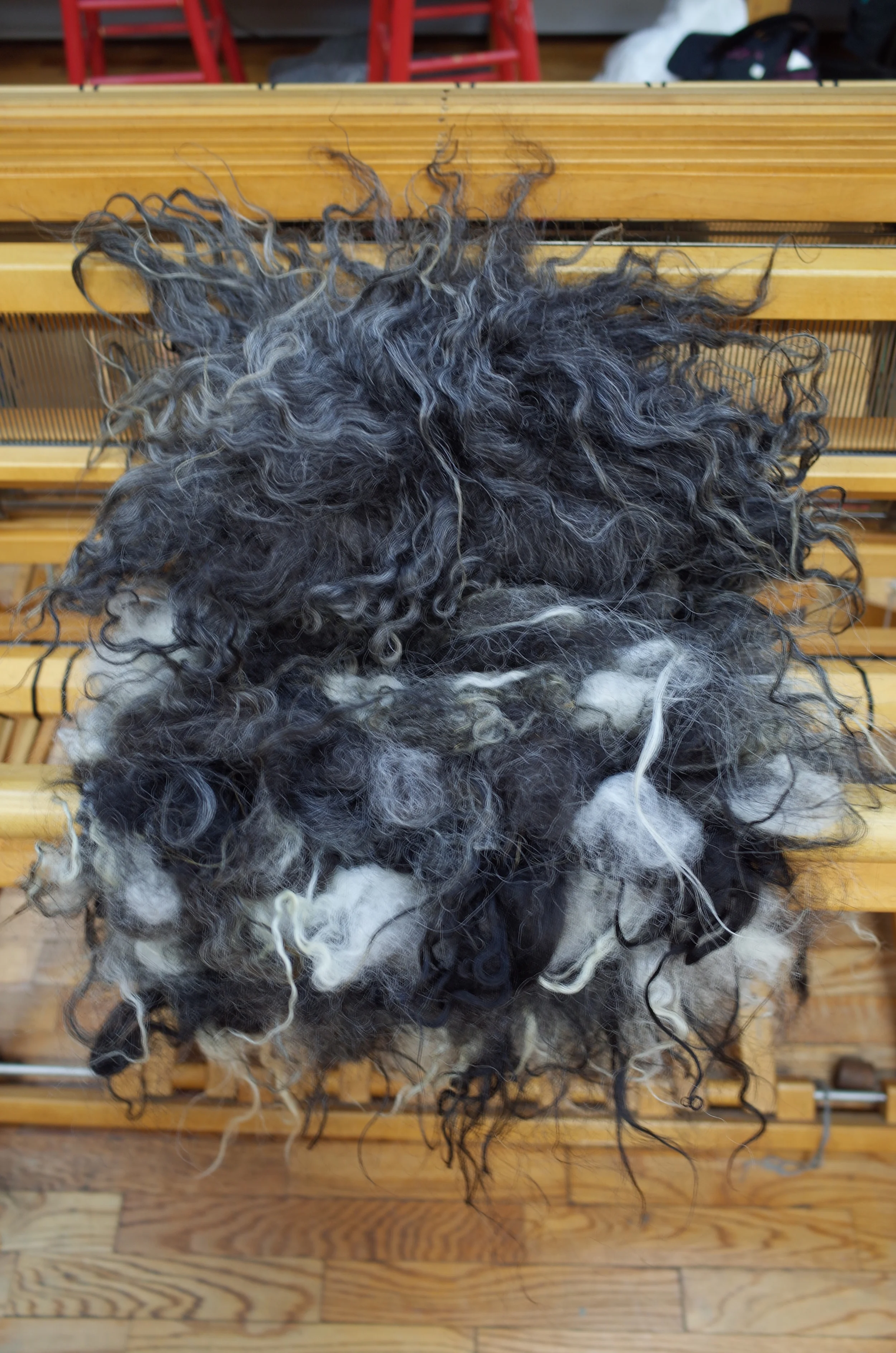 Transition to completely raw Icelandic fleece.
