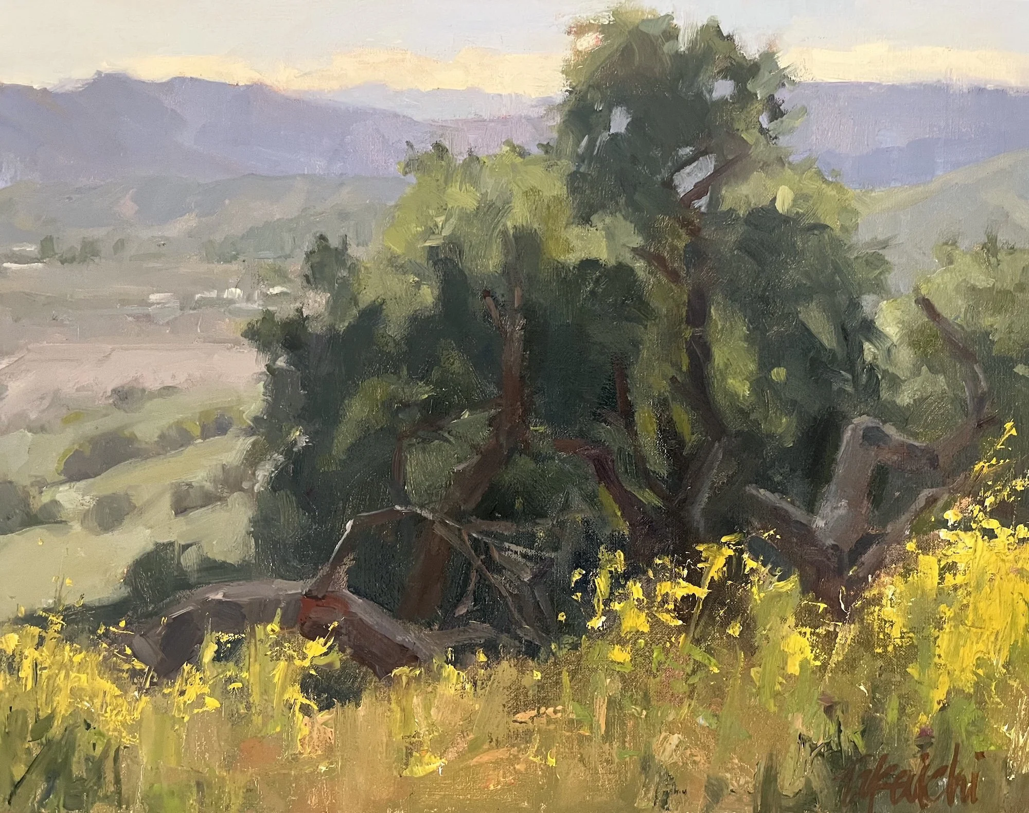 Oak and Mustard –  11x14"   Gilroy, CA