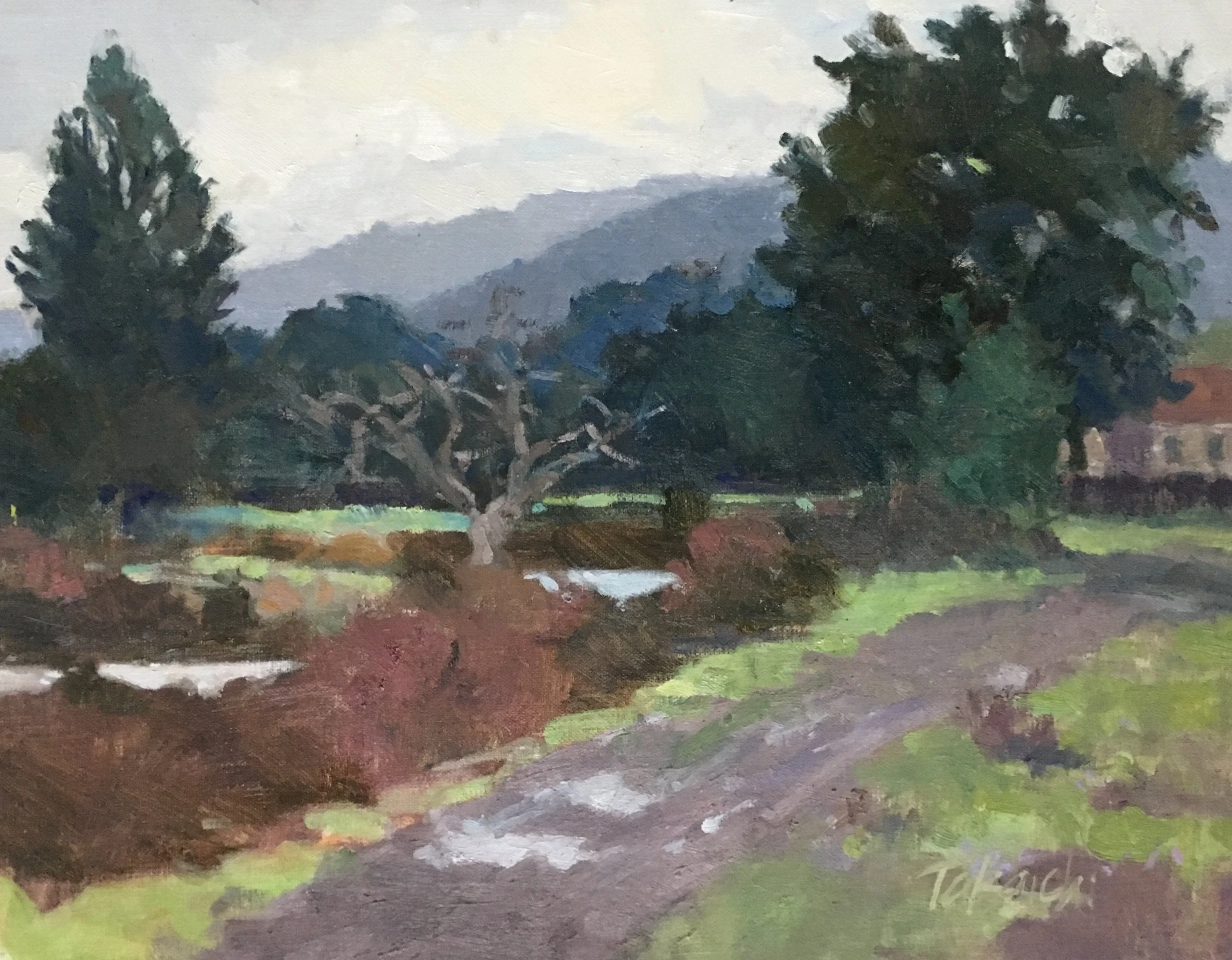 Path of Puddles, 11x14”