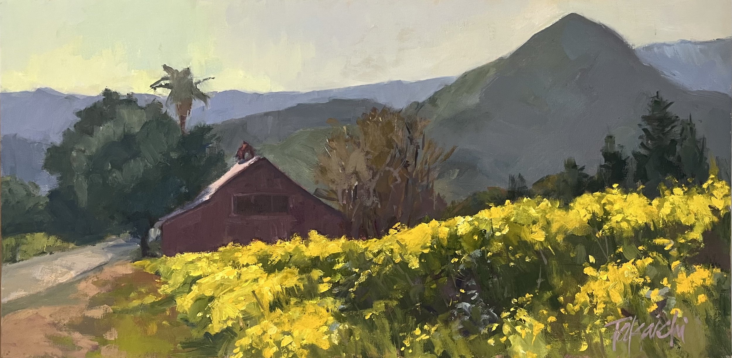 Repeating Shapes, 10x20", Painted Plein Air in Gilroy, CA