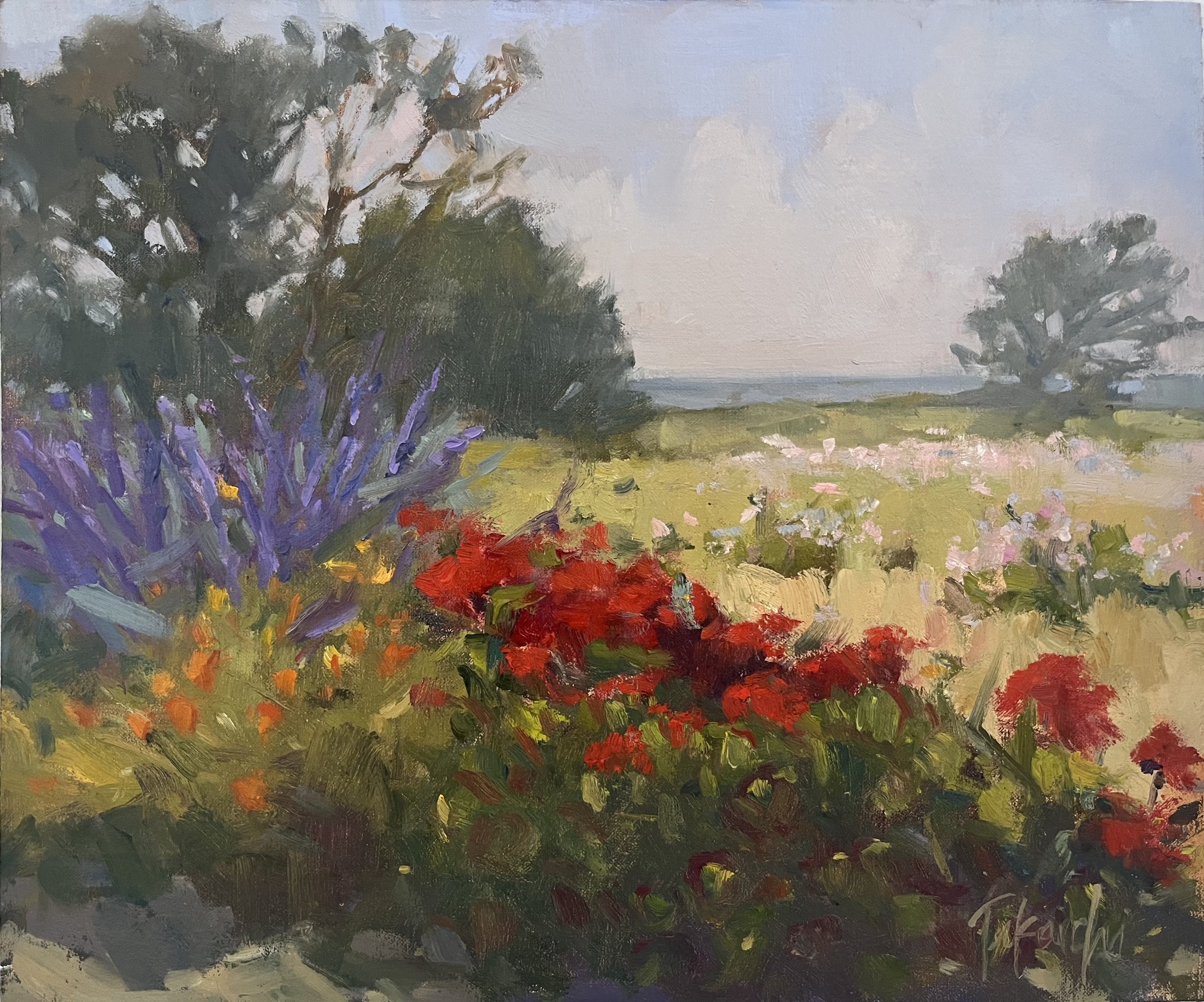 Coastal garden