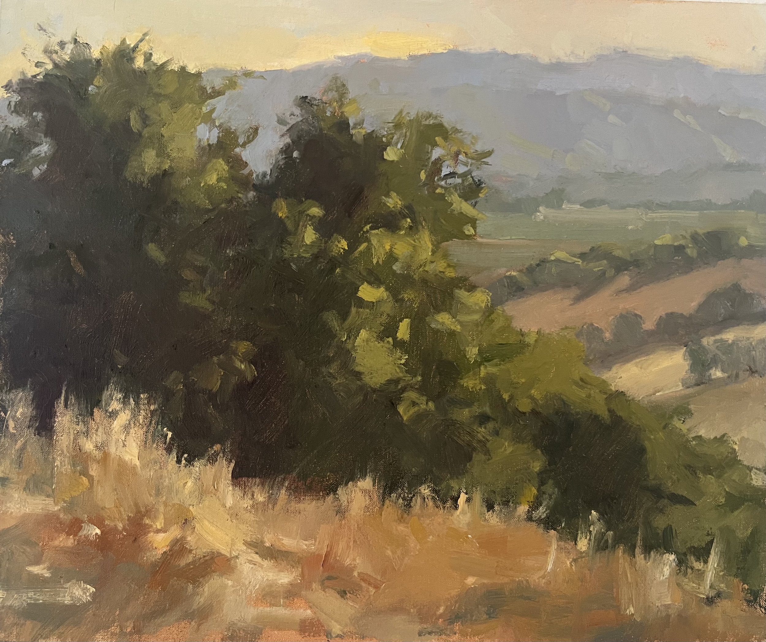 Hilltop View