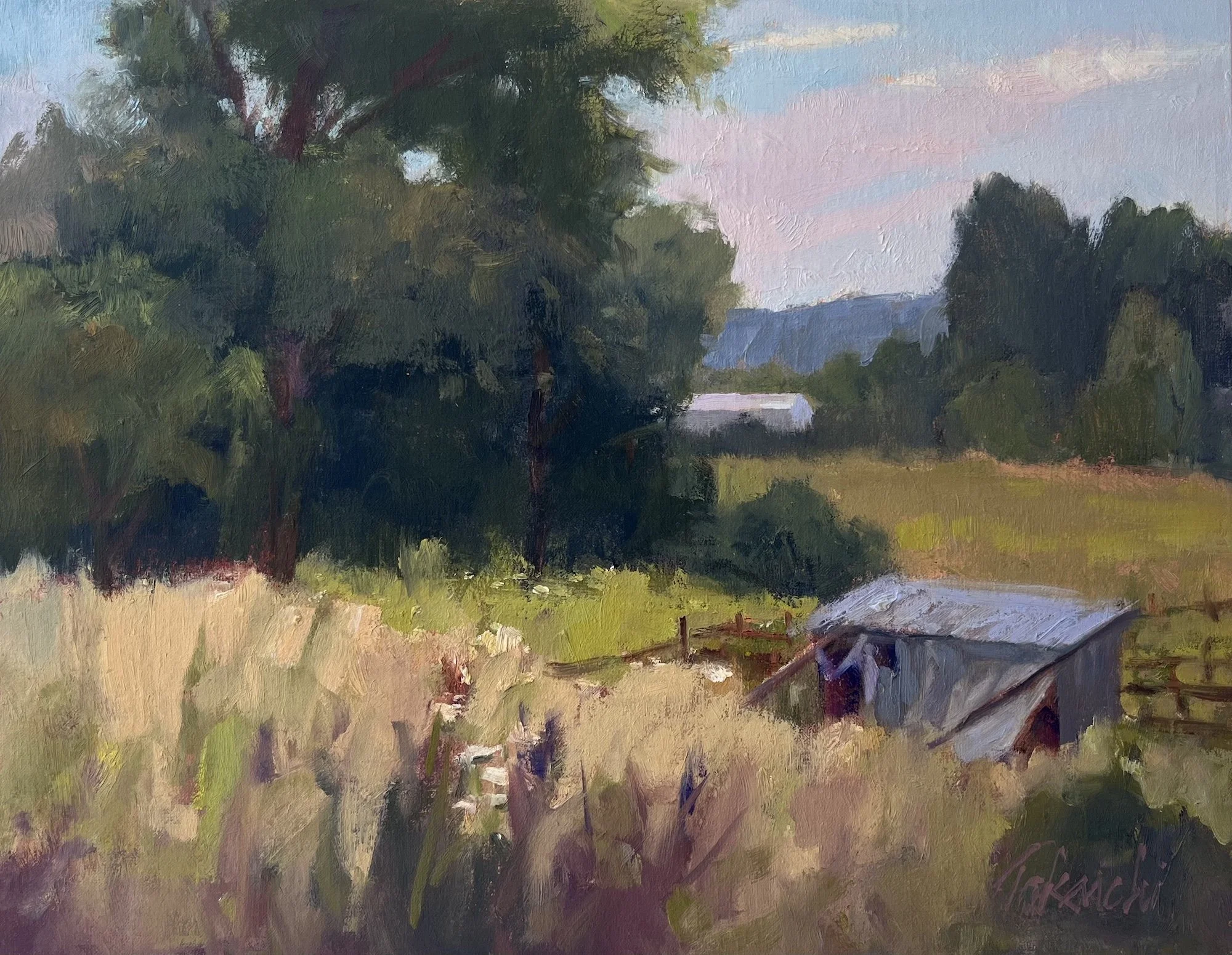 Midsummer Daydreams –  11x14   Rhineland, MO