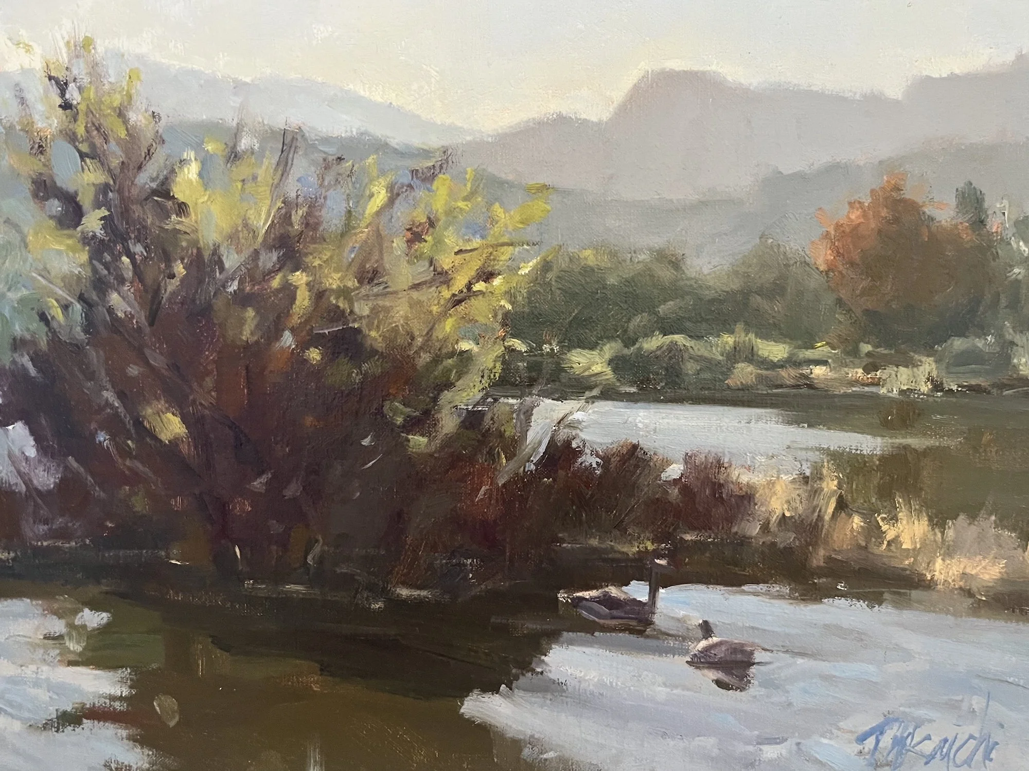 Duck Days –  9x12"   San Jose, CA