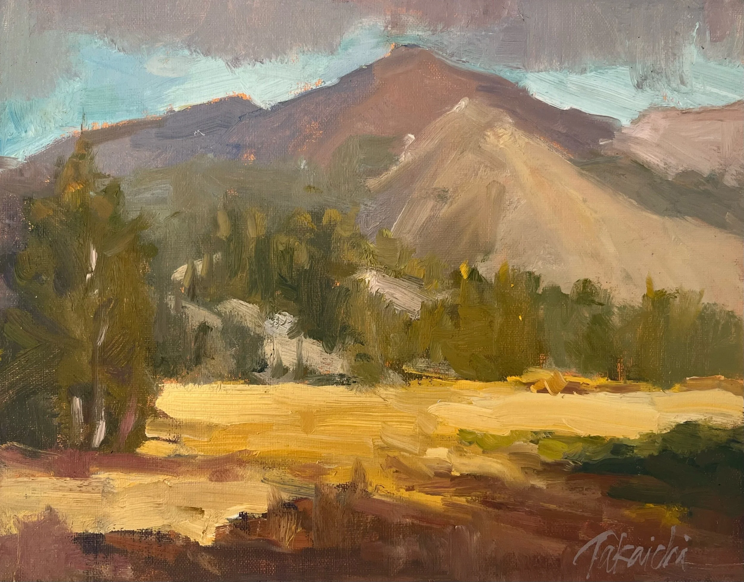 Mist on the Meadows (Tuolumne Meadows)