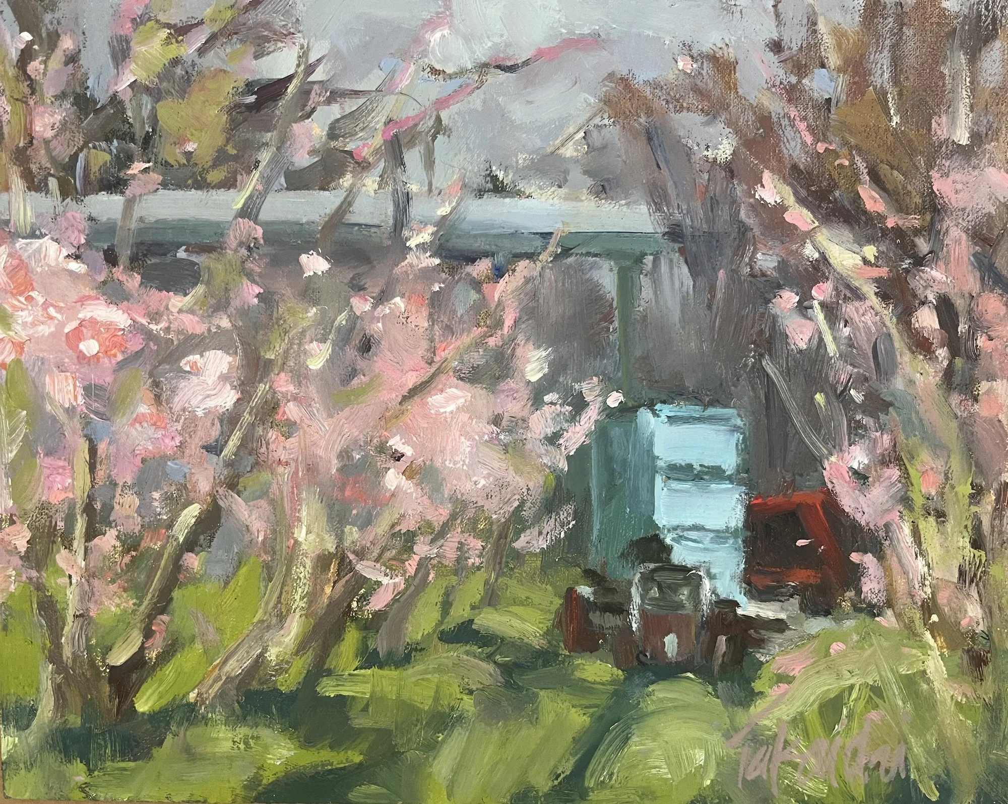 Sweet Peach Blossoms