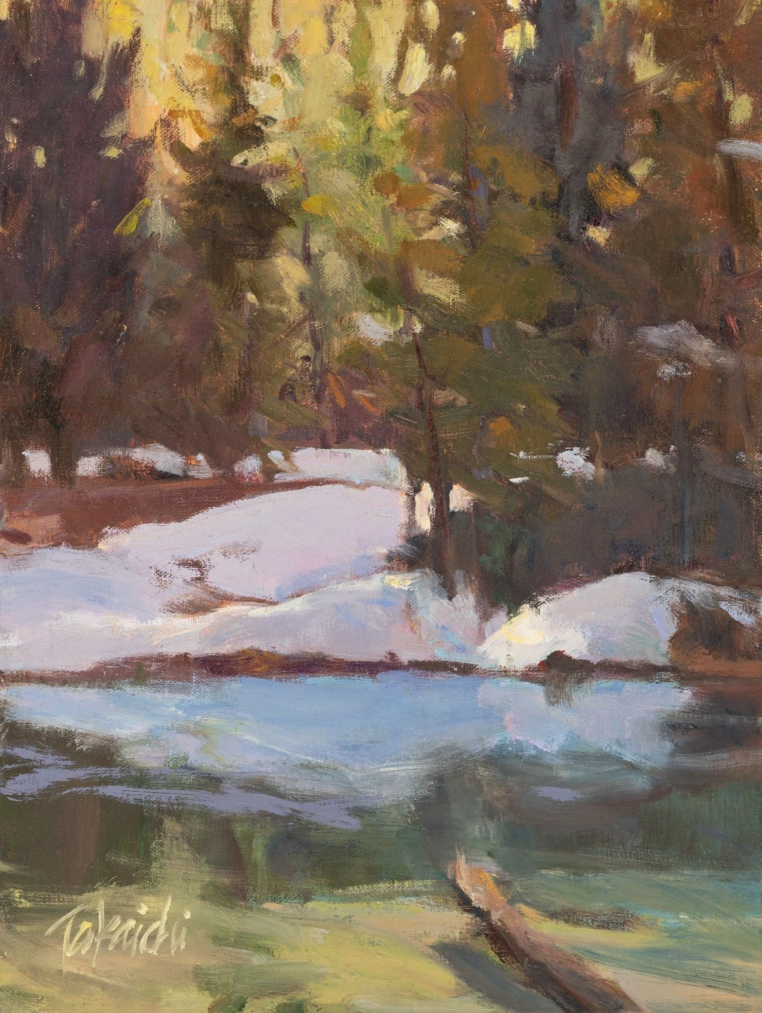 Snowy Shore