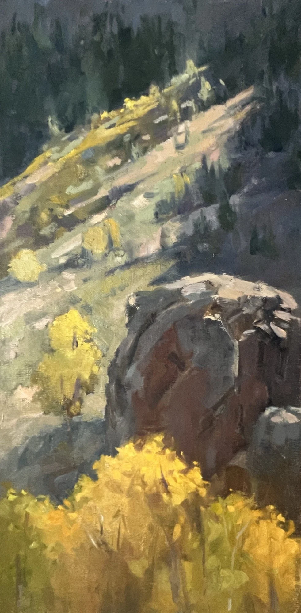 Fall Diagonal –  16x8"   June Lake, CA