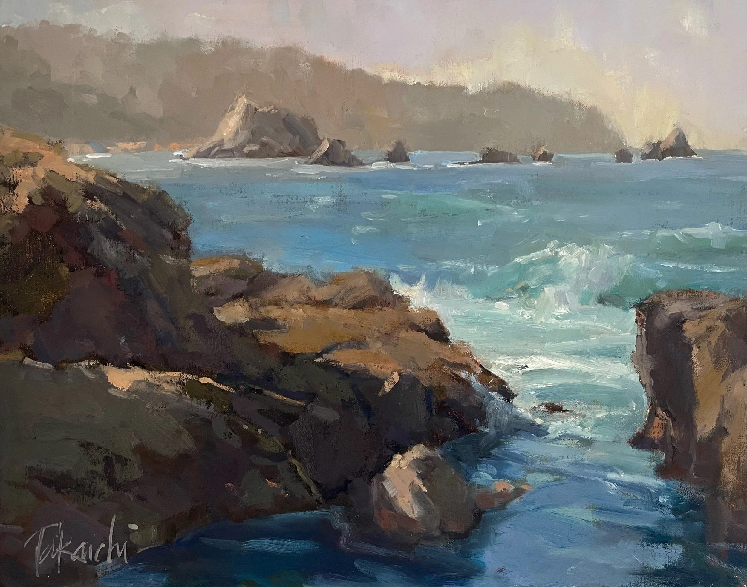 Clearing on the Coast