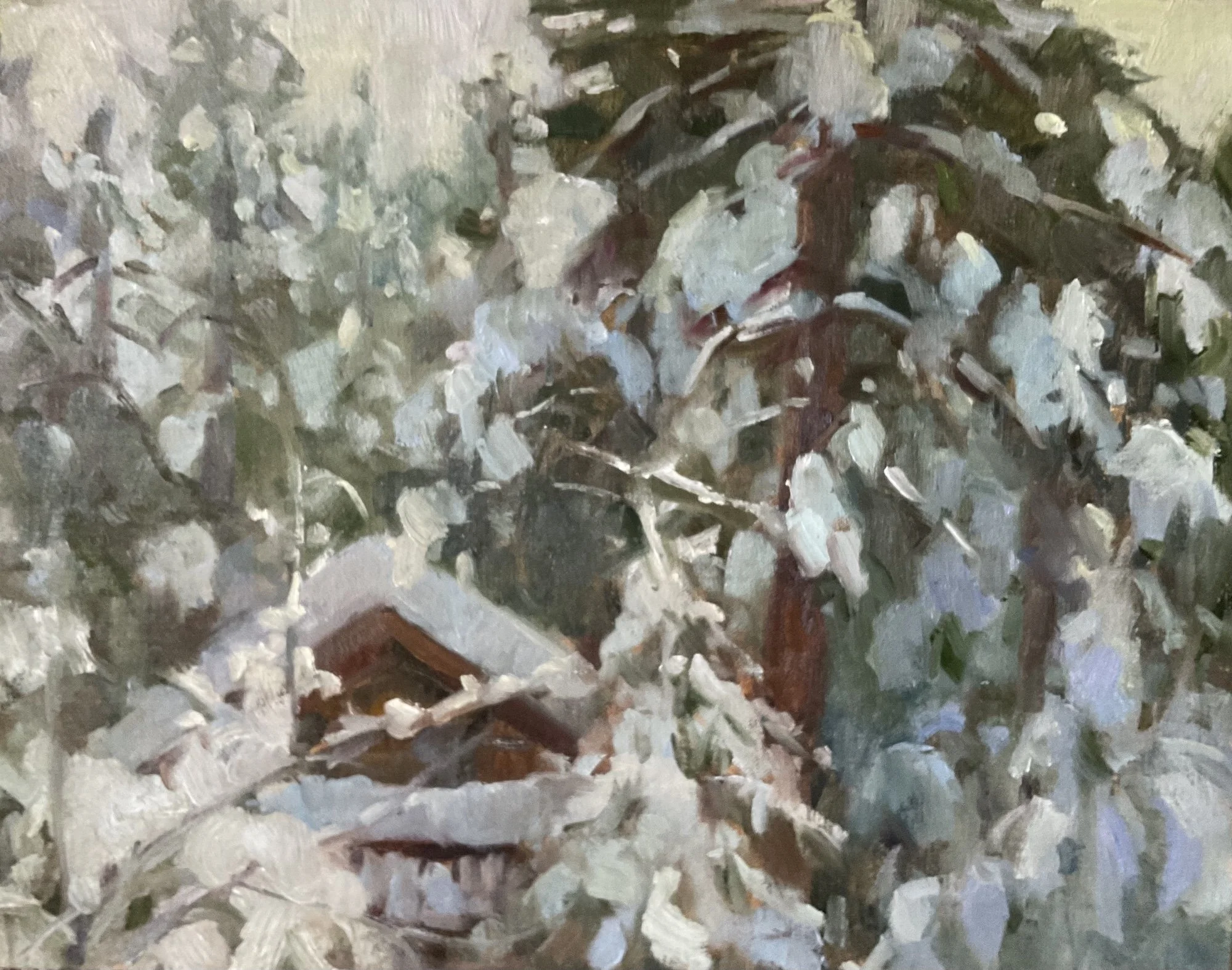 Draped in Snow –  11×14”   
Tahoma, CA