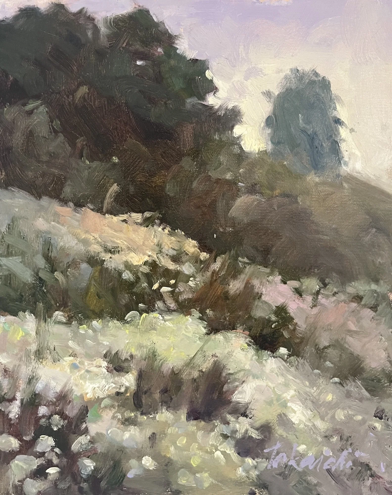 Serenity –  8x10"   San Jose, CA