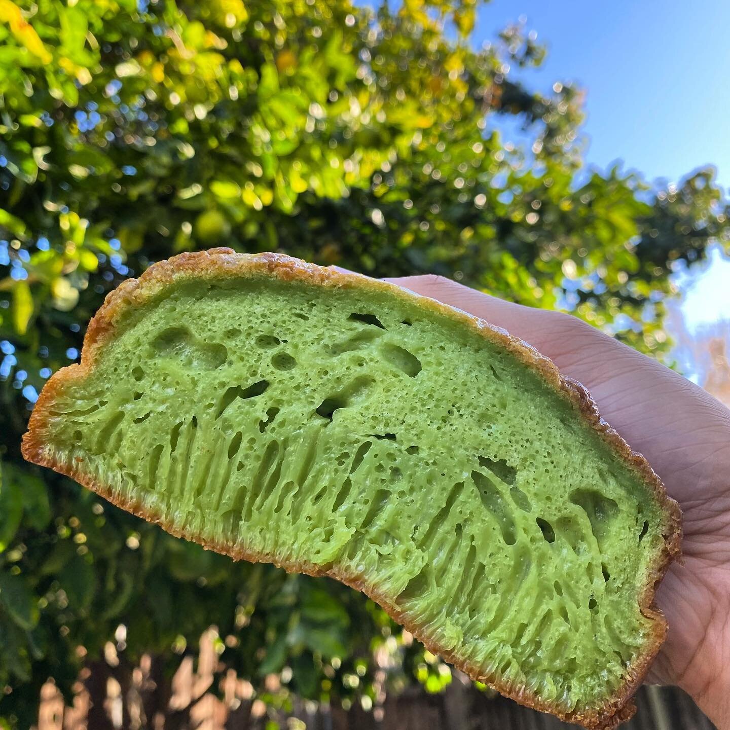 Ain&rsquo;t she a beauty? Nom nom nom 😋 
*
*
*

#foodie #eggtart #bakery #pandan #momandpop #croissants #greenwaffle #bakedgoods #banhbo #bakedgoodies #foodporn #eatersf #bayareawhatsin #dessertofinstagram #sfeats