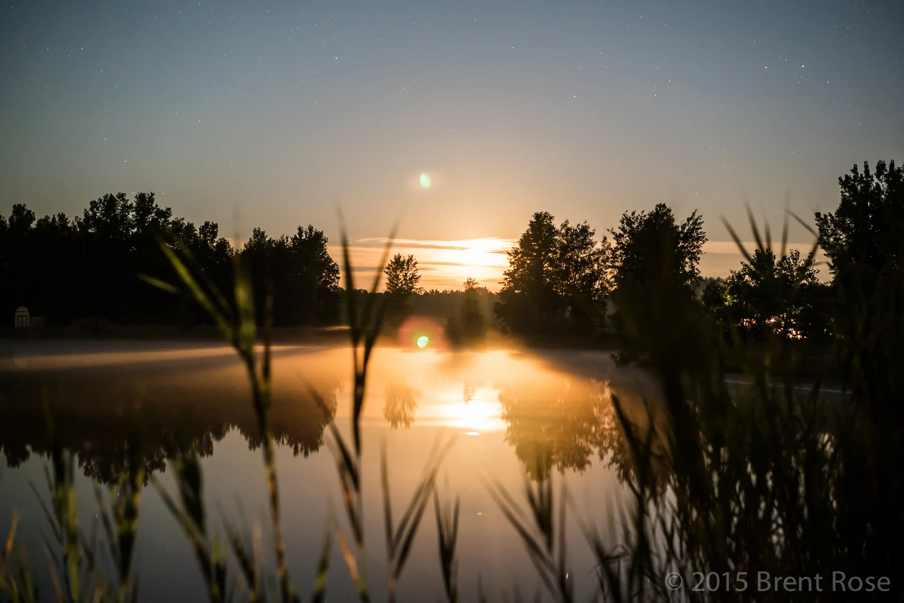 20150726_CSGallery2_026.jpg