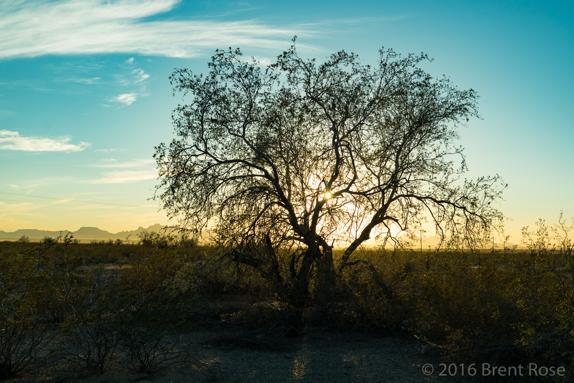 Near Big Bend National Park, Texas