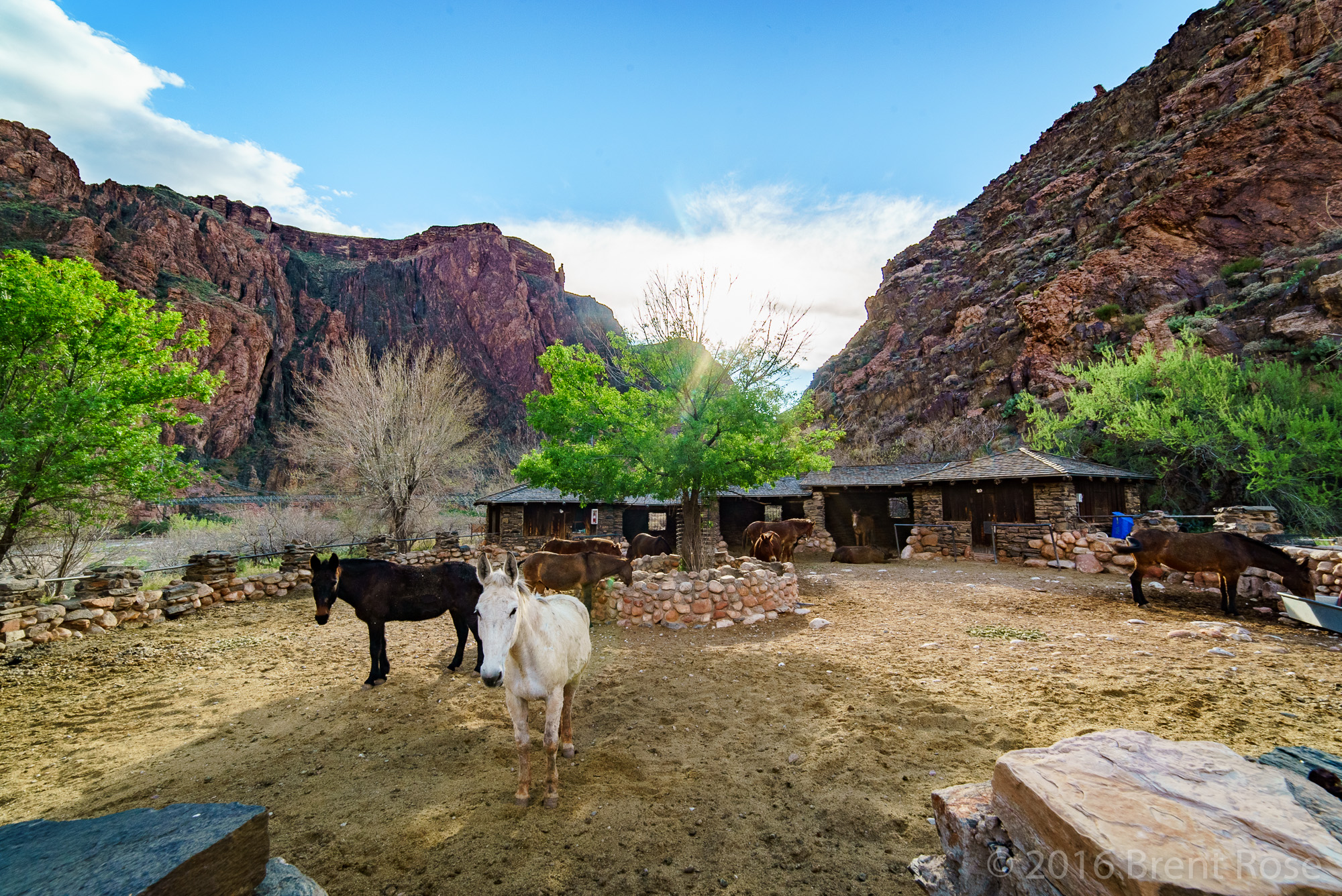 Phantom Ranch, Grand Canyon, AZ