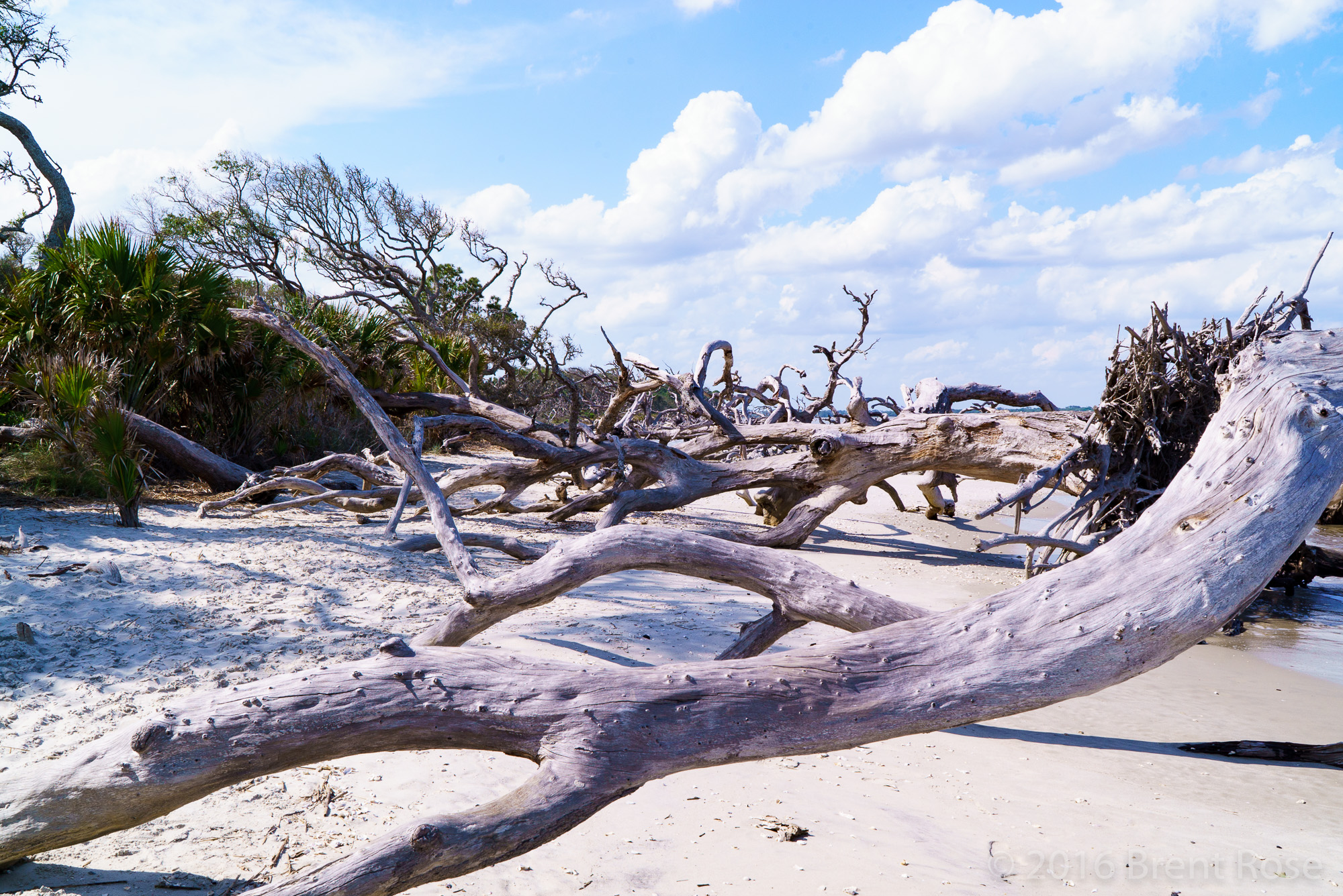 Jekyll Island, GA